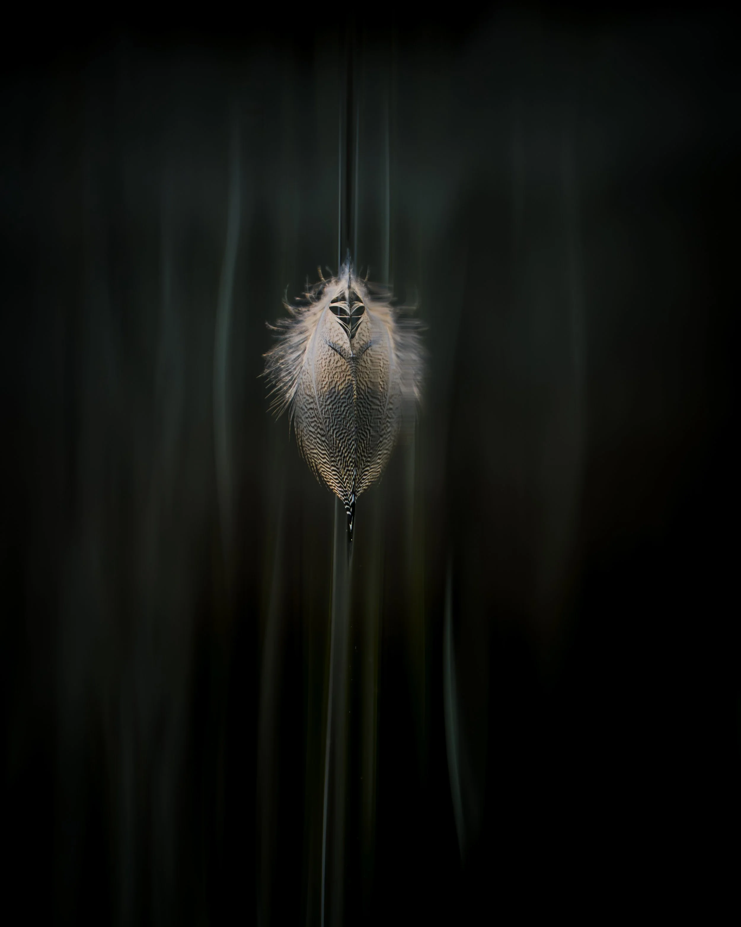 The Watcher
Limited Edition Fine Art Print
Collector sizes beginning at 24" × 36"
Starting at $750
Inquire for availability