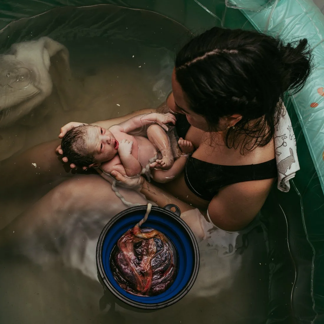Birthing parent holding their newborn in a water birth with placenta visible nearby, reflecting the real and intimate moments involved in becoming a doula.