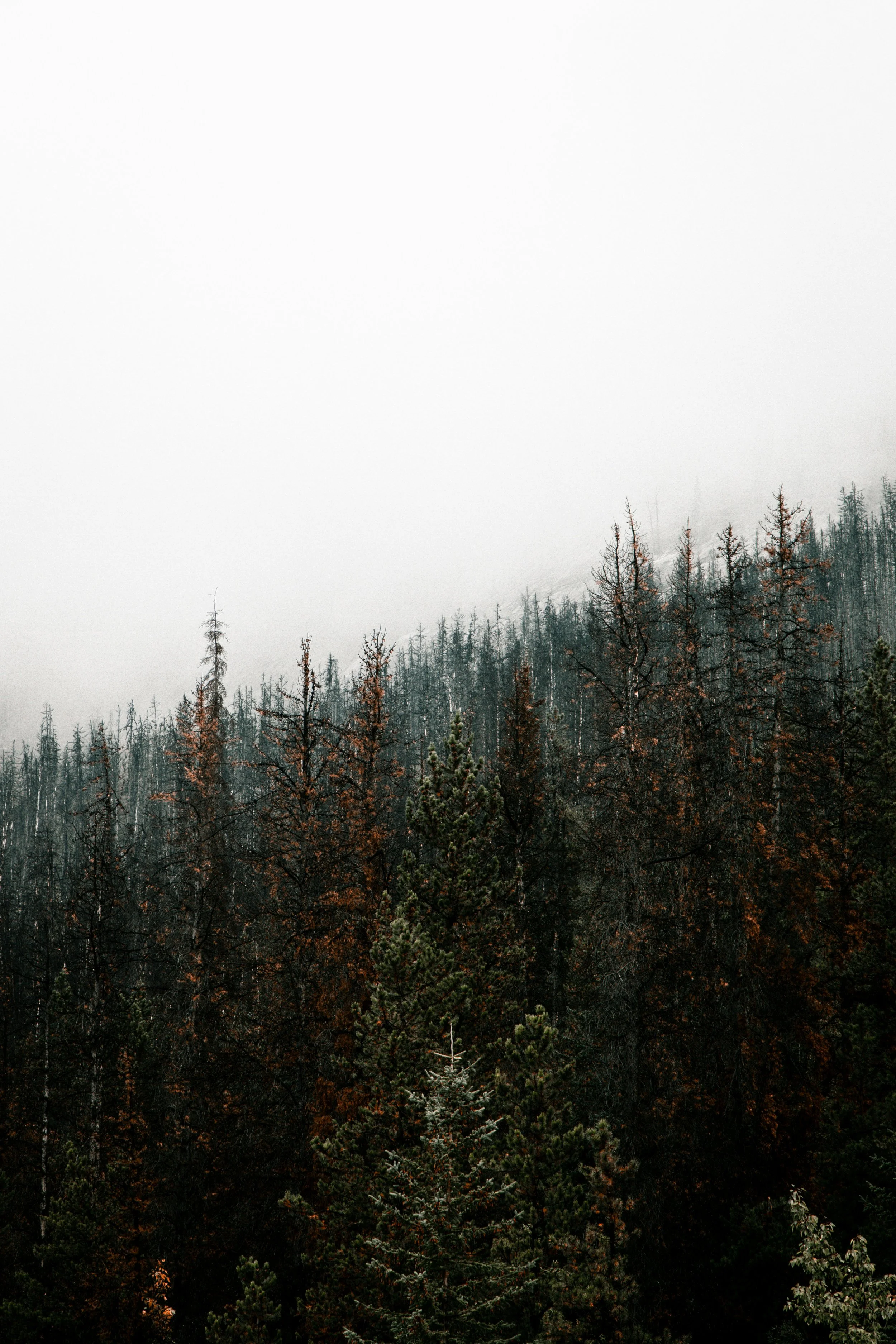 Pastor’s Corner — September 19th, 2021