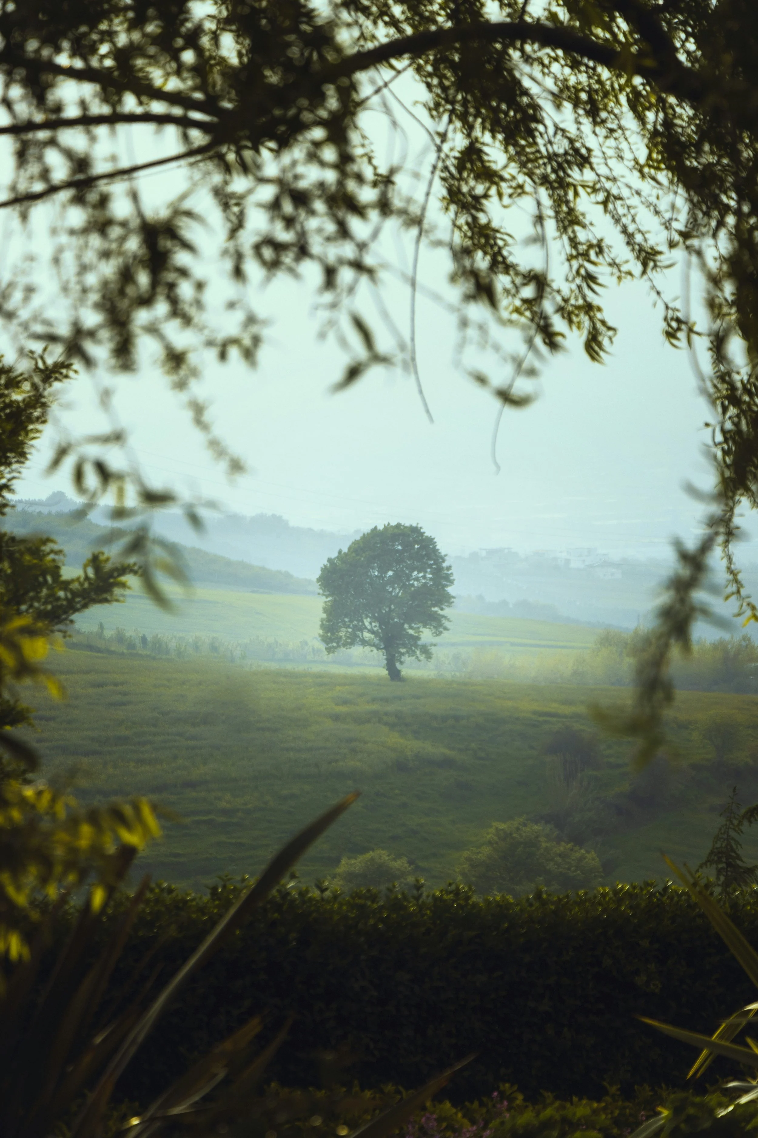 Pastor’s Corner — November 21st, 2021