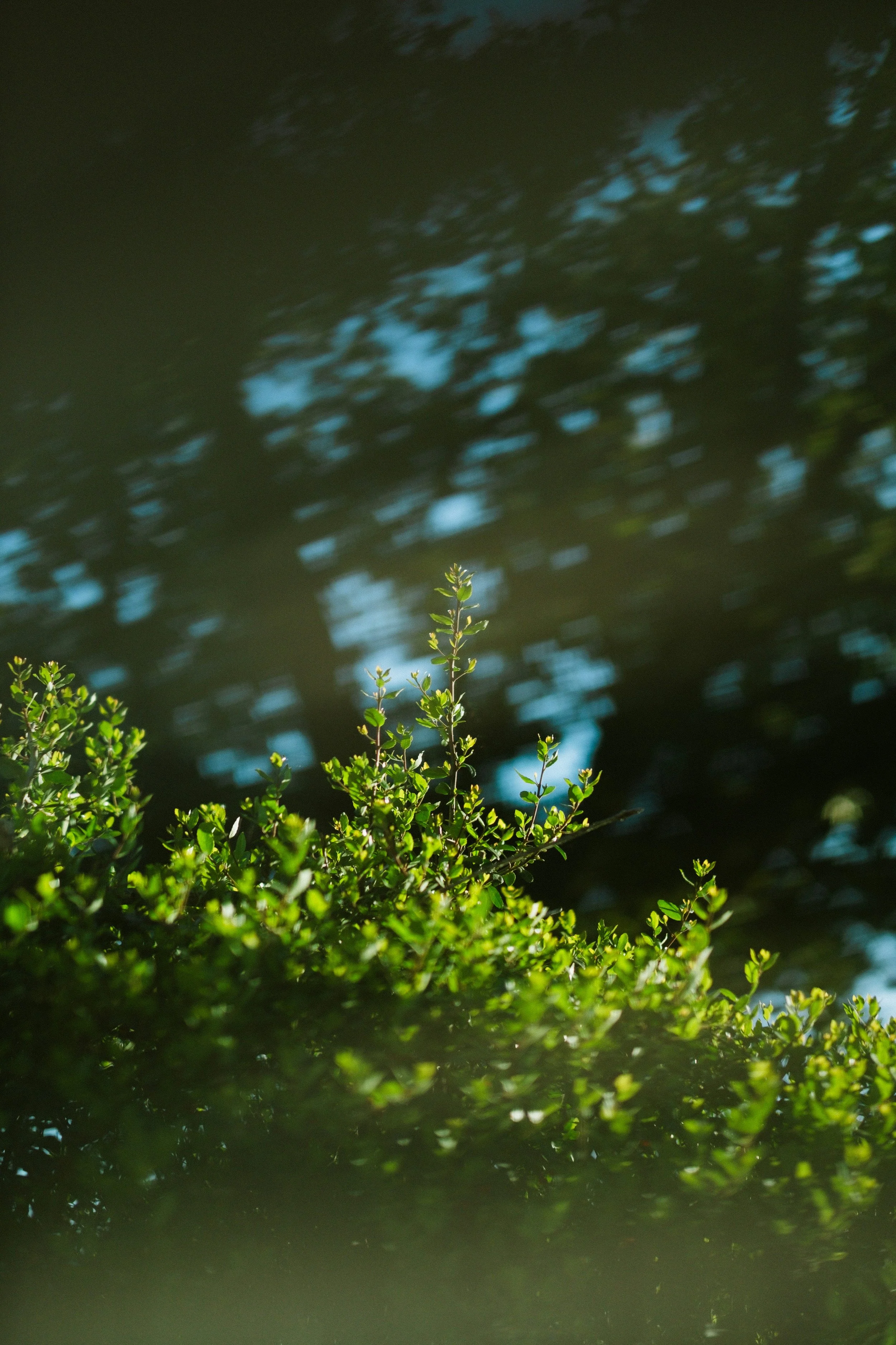 Pastor’s Corner — November 28th, 2021