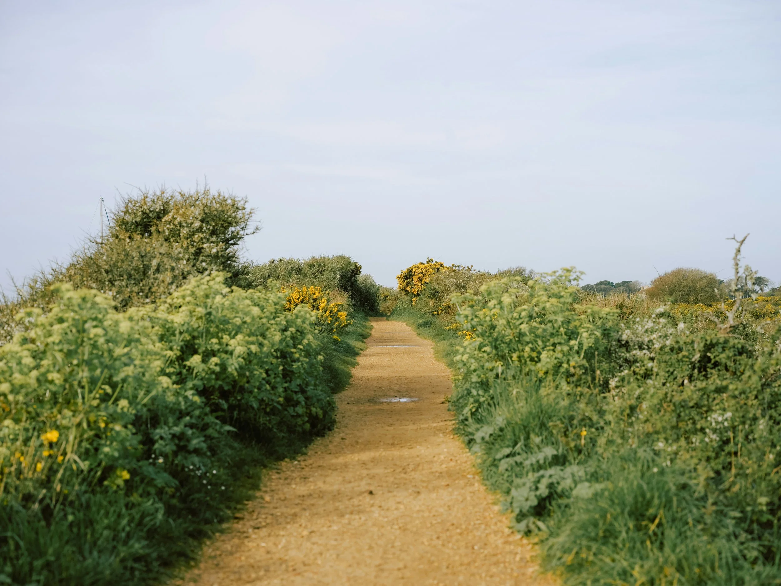 Pastor’s Corner — November 26th, 2023