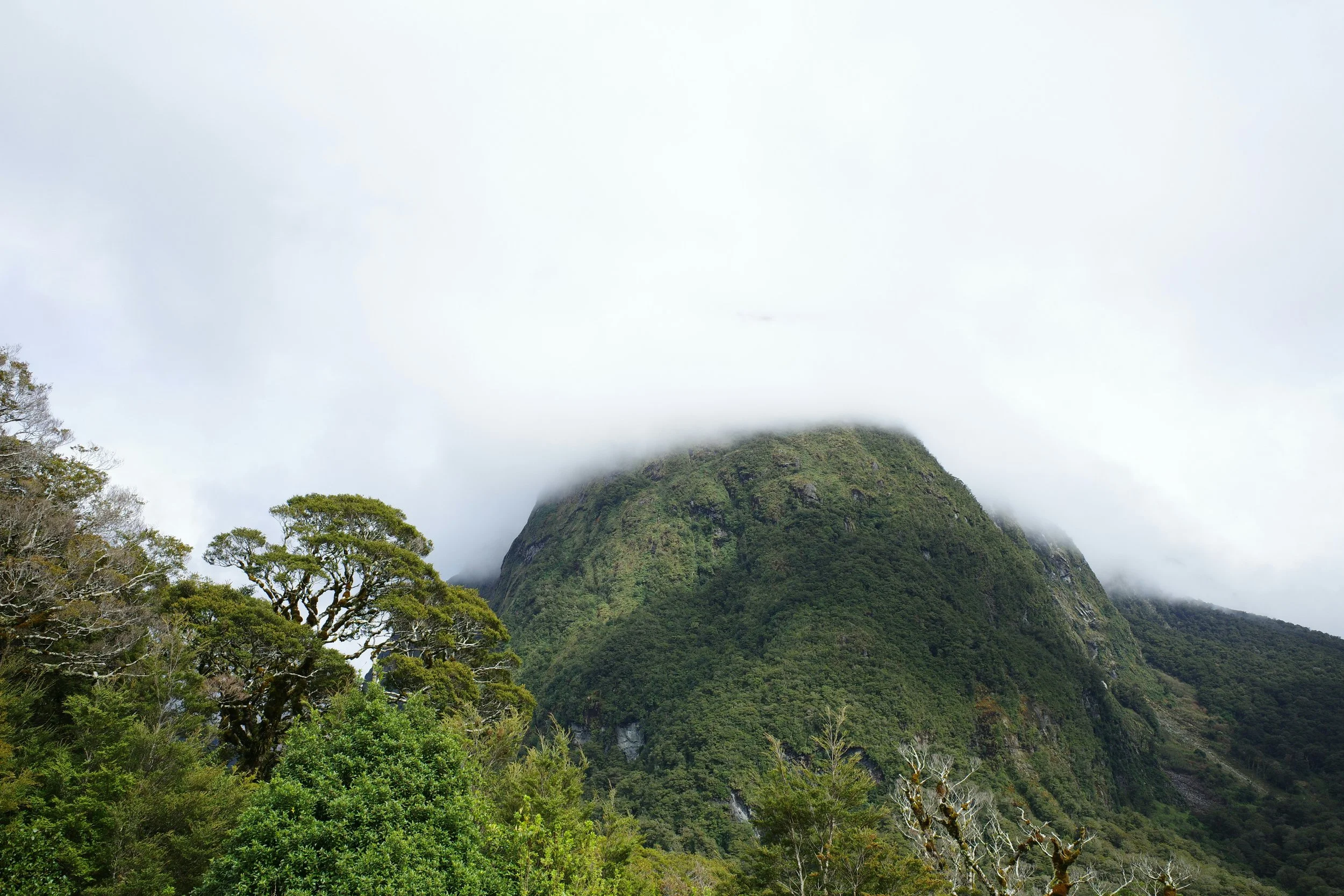 Pastor’s Corner — December 10th, 2023