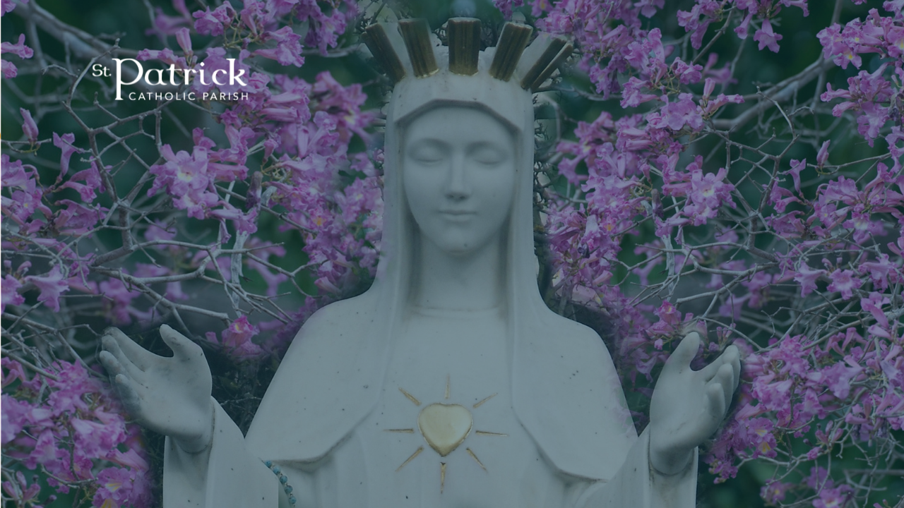 Our Lady of Beauraing presentation