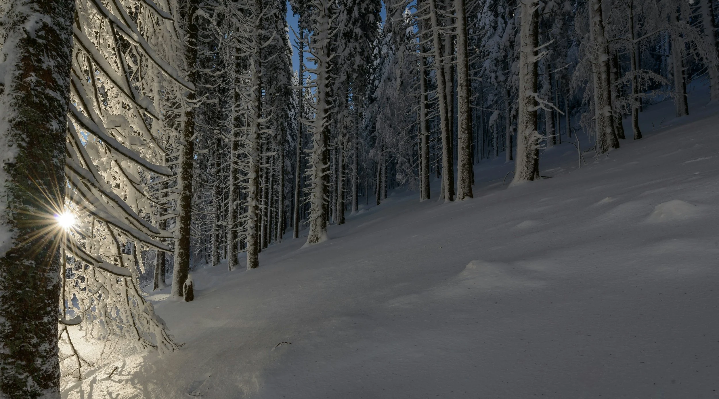 From the Vicar — January 4th, 2026