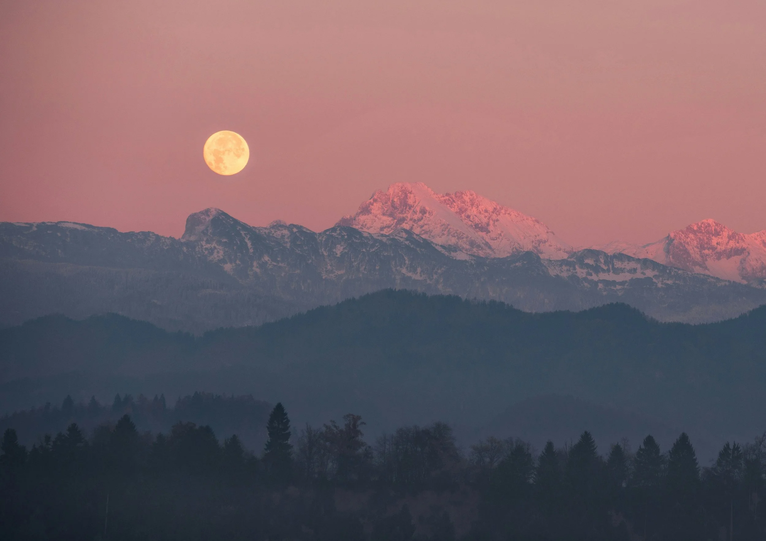 Pastor’s Corner — February 1st, 2026