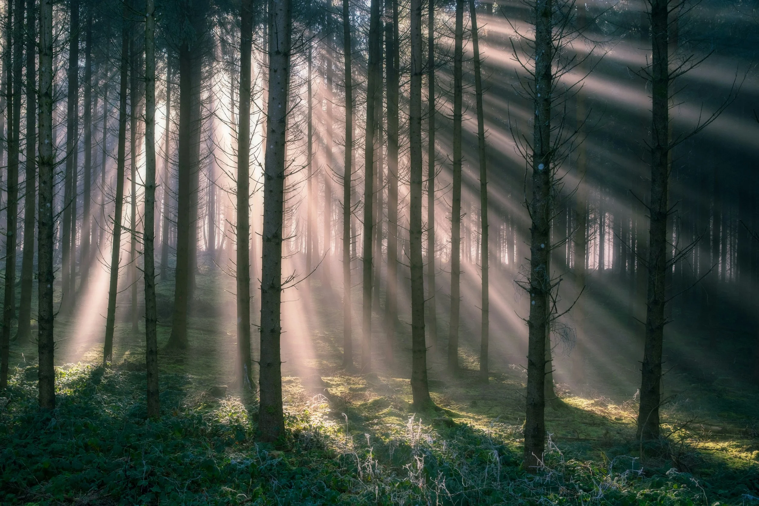 From the Vicar — February 15th, 2026