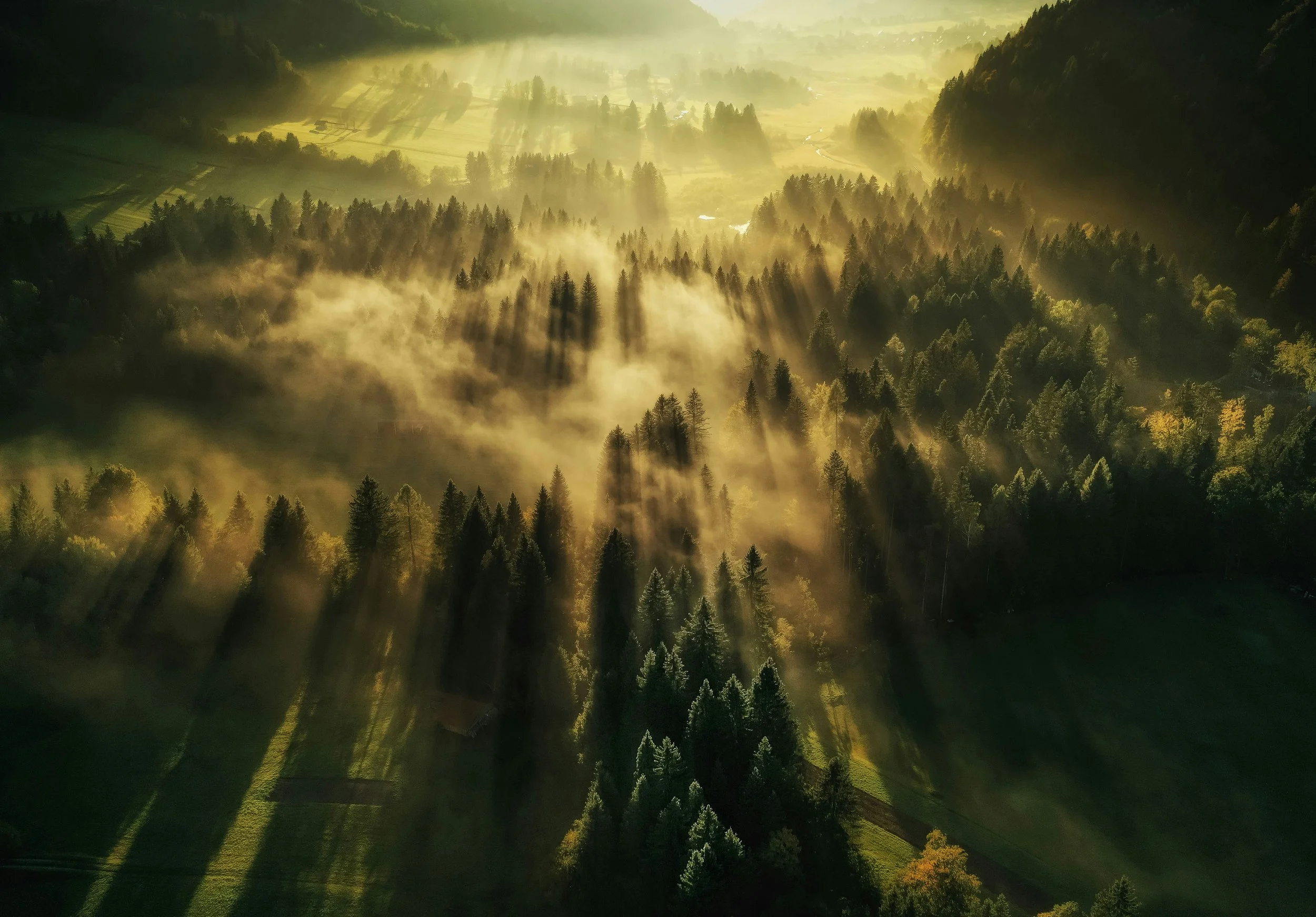 Pastor’s Corner — February 22nd, 2026