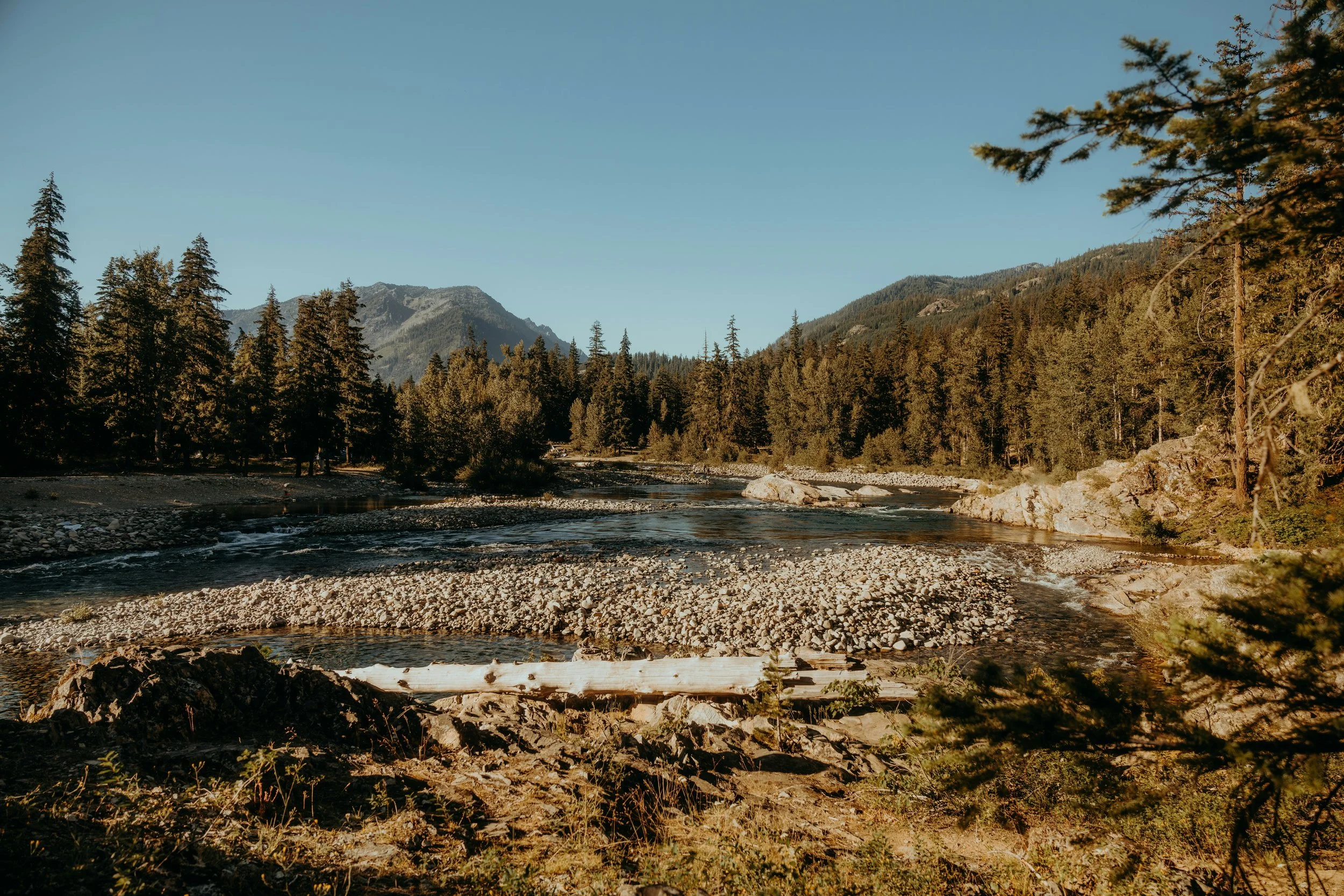 Pastor’s Corner — March 29th, 2025