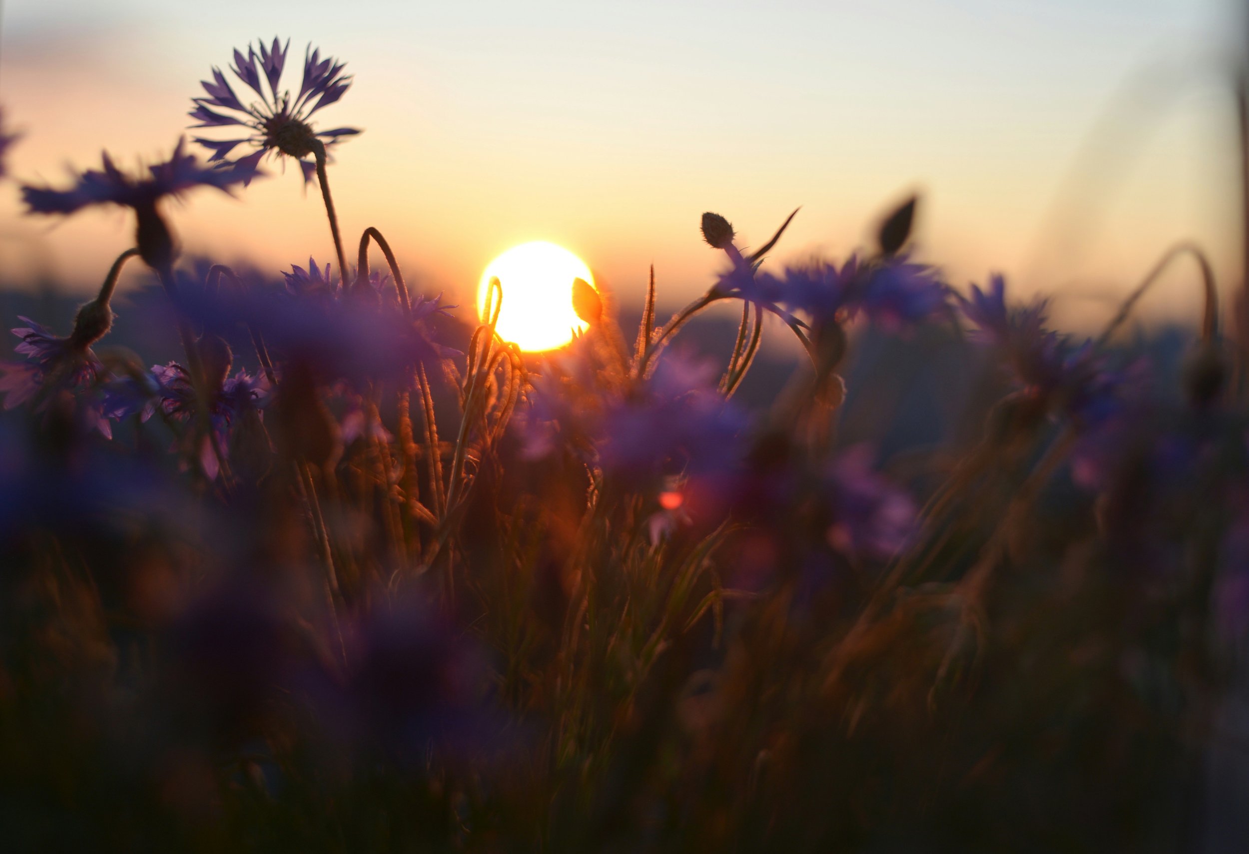 Pastor’s Corner — June 7th, 2026