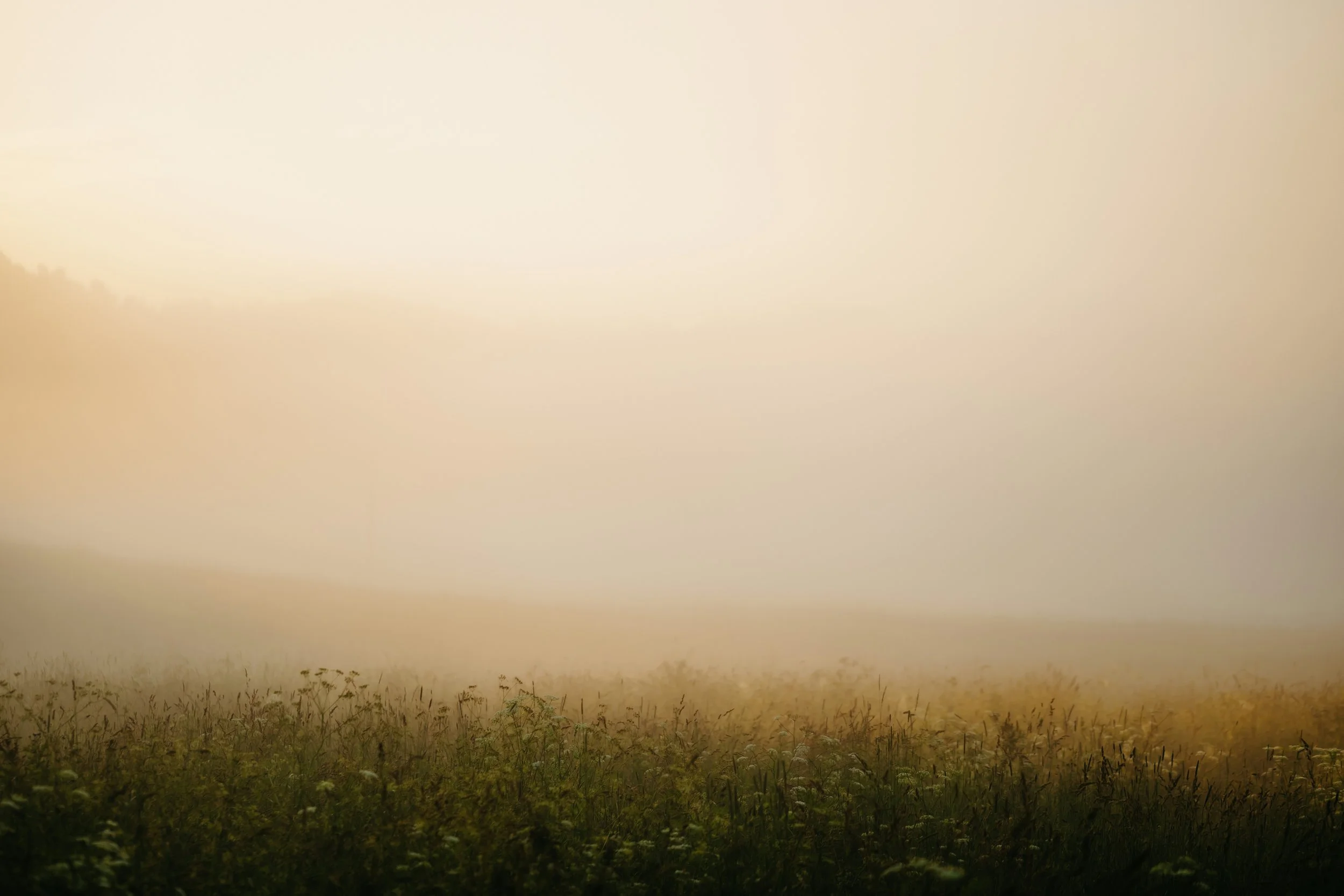 From the Seminarian — July 26th, 2026