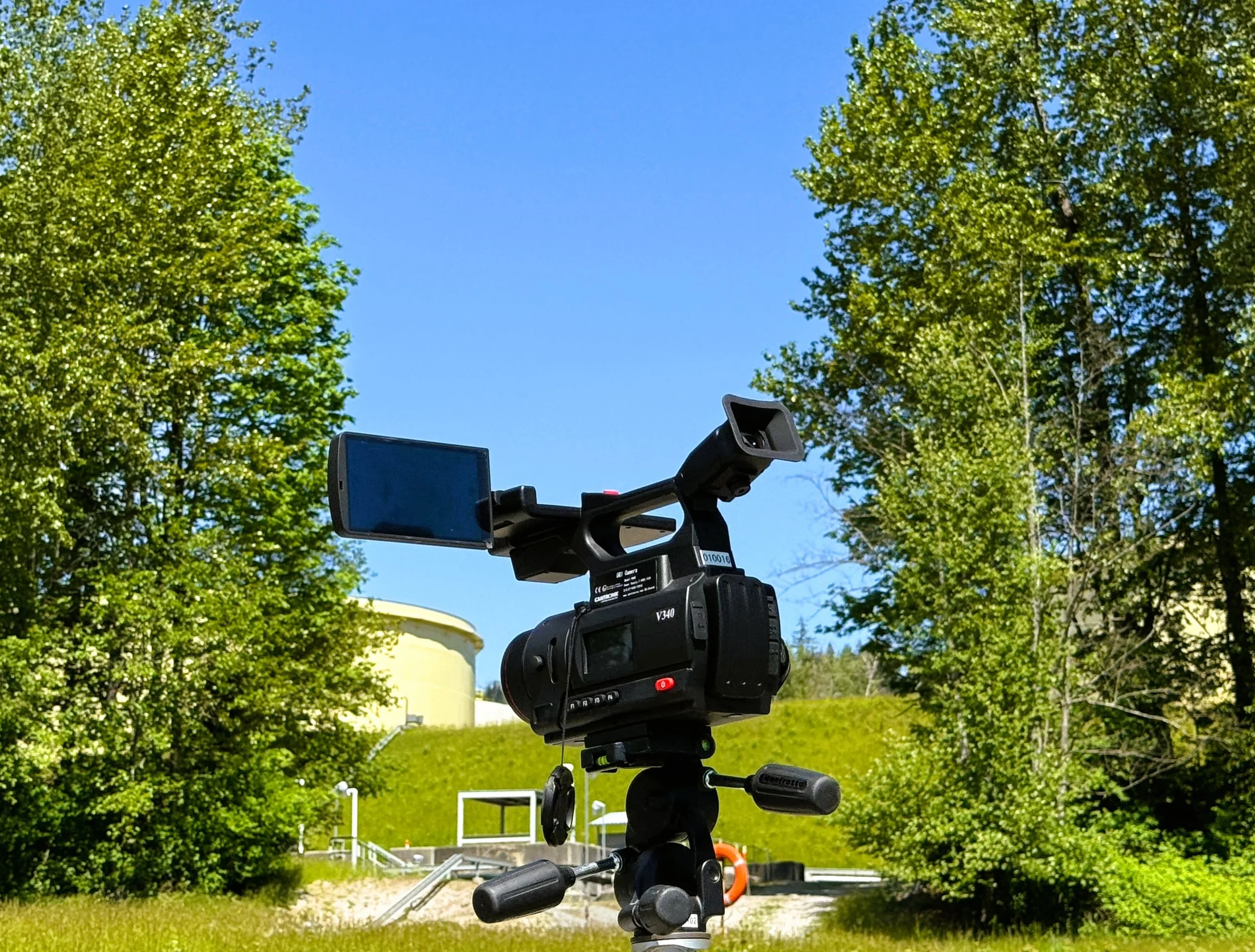 20250505_195615521_iOS (1).jpg