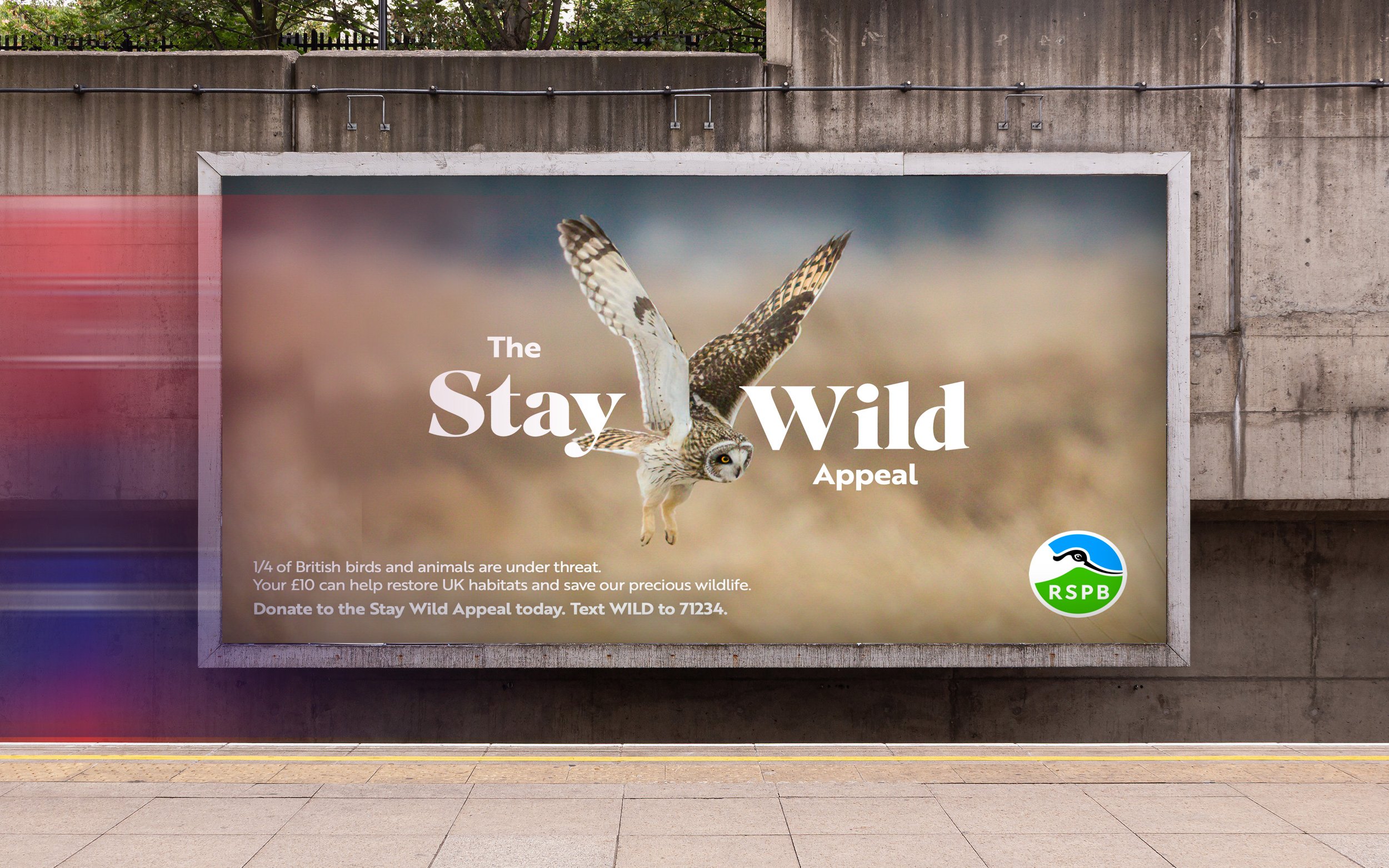 RSPB_OOH_1.jpg