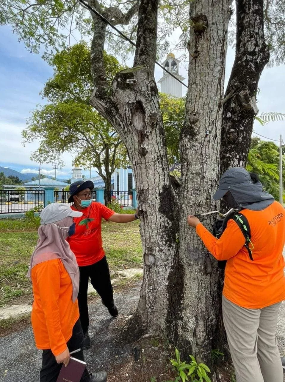 photo1648002044 (1).jpeg