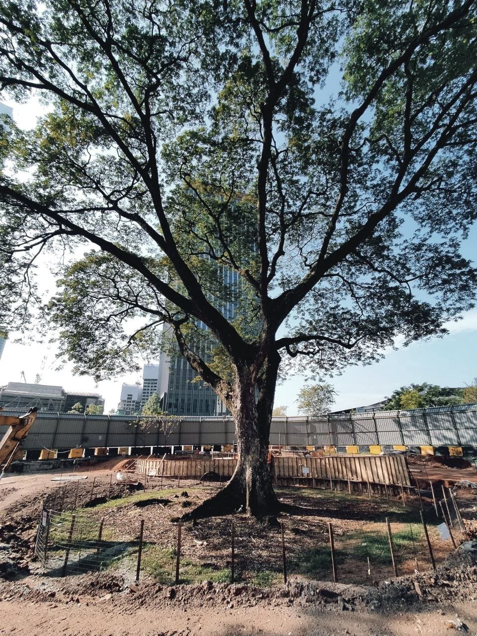 photo1648001368 (1).jpeg