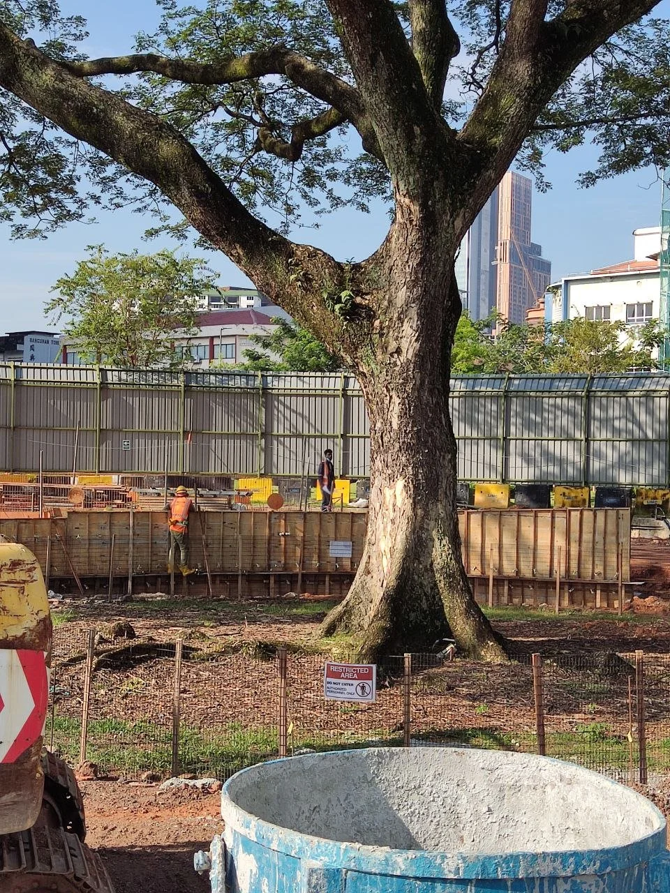 photo1648001368 (2).jpeg