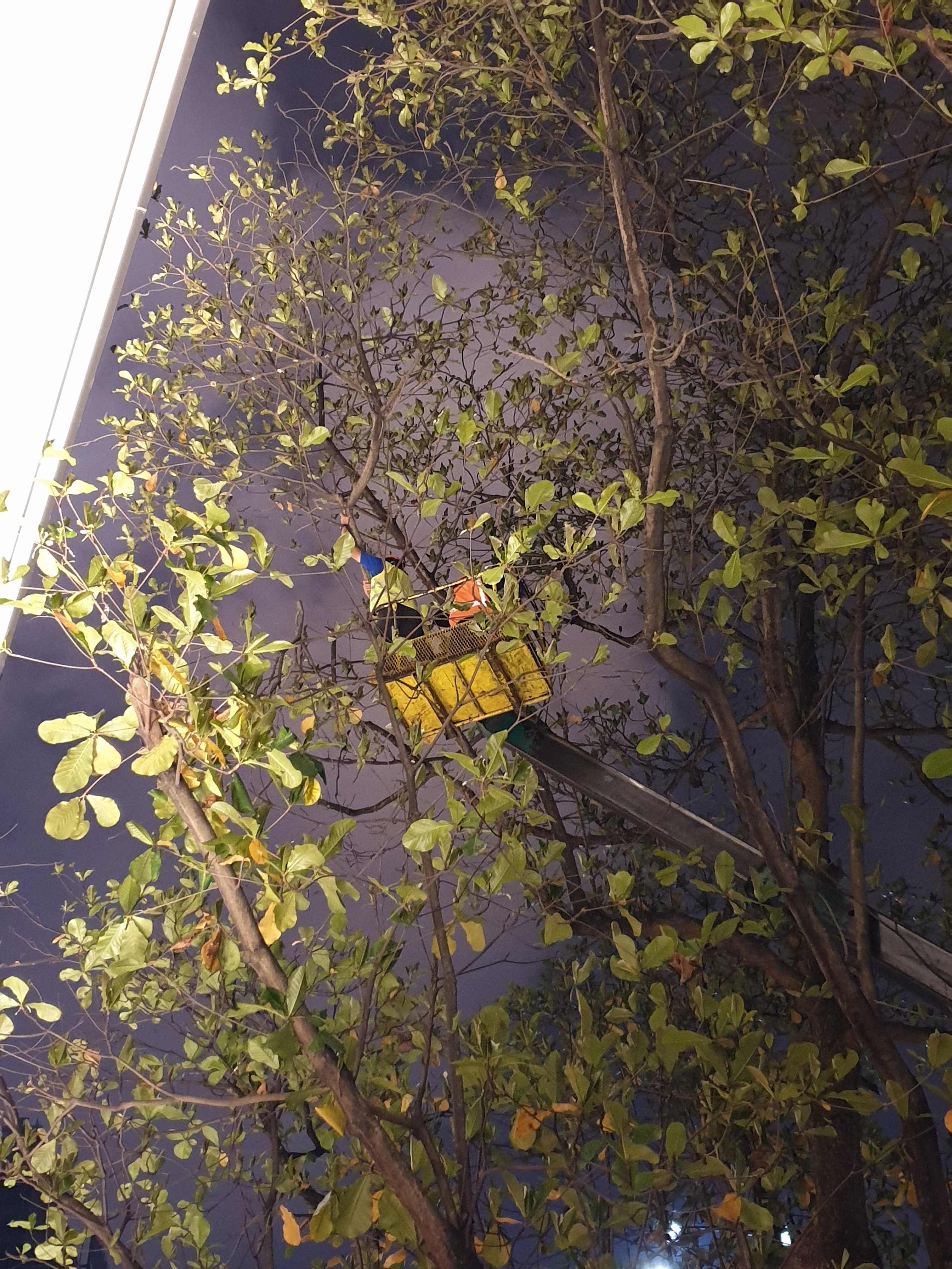 20191016_234757.jpg