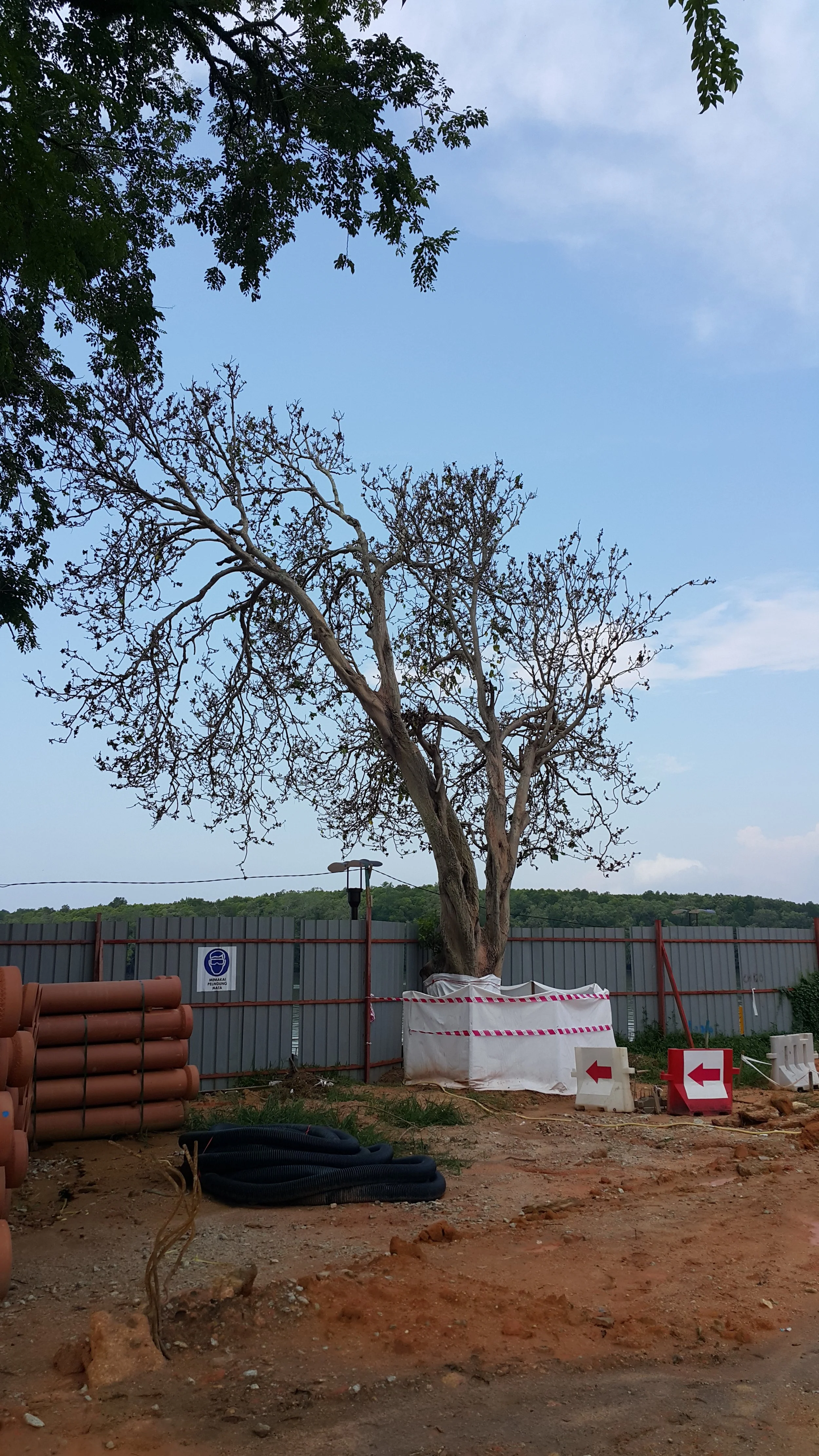 20150529_114658.jpg