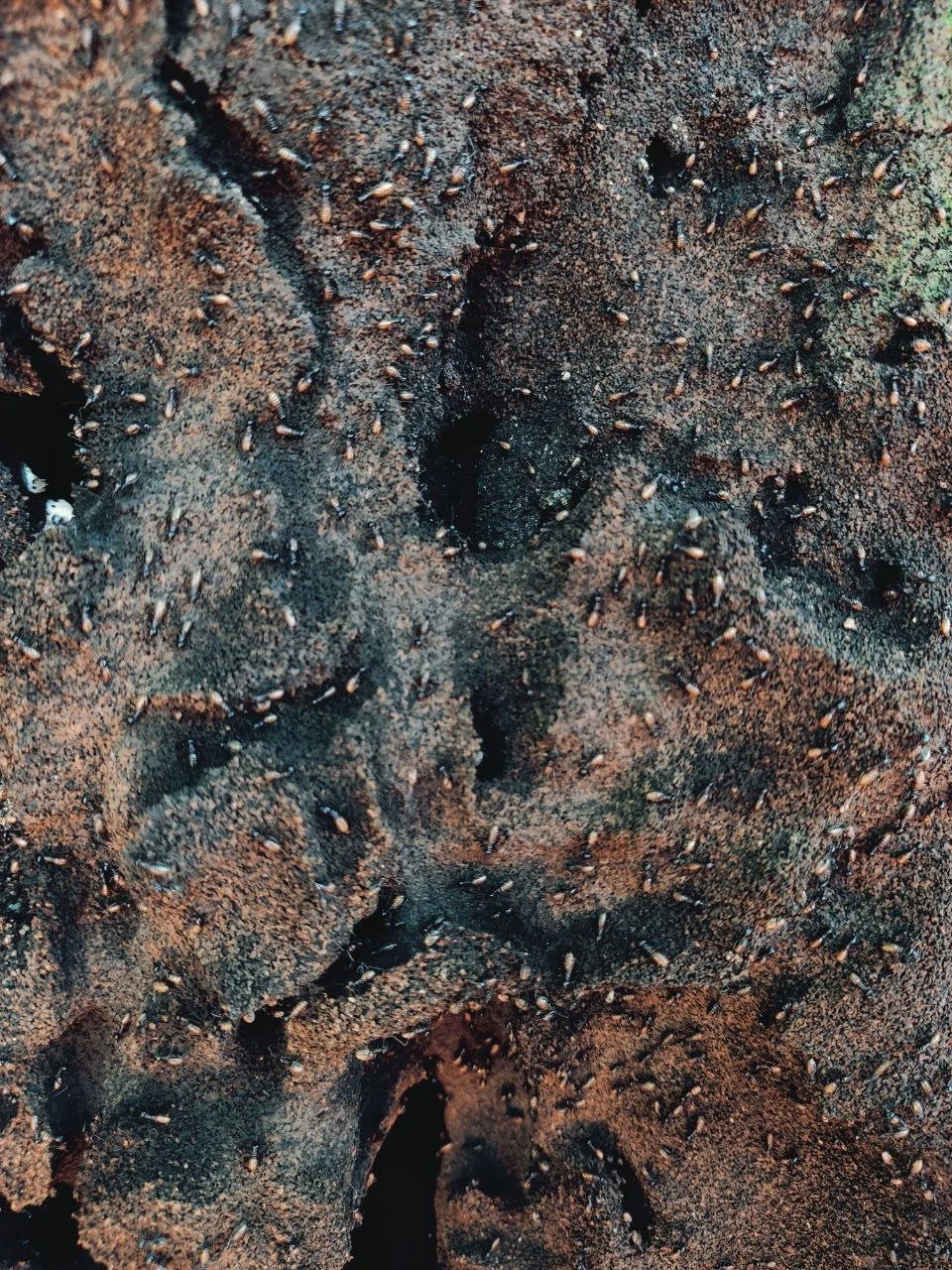 photo1648001507 (3).jpeg