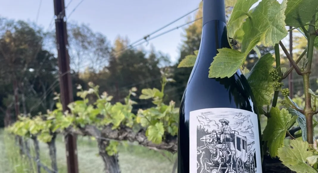 Case of El Vaquero 2016 Petite Syrah