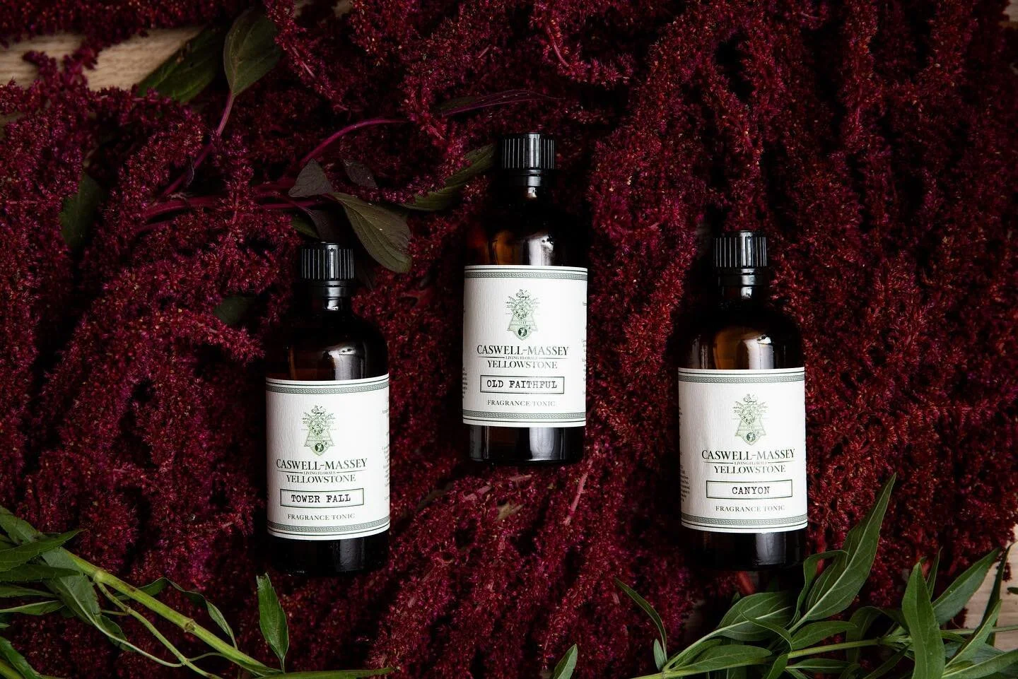 caswell ros and parks stories