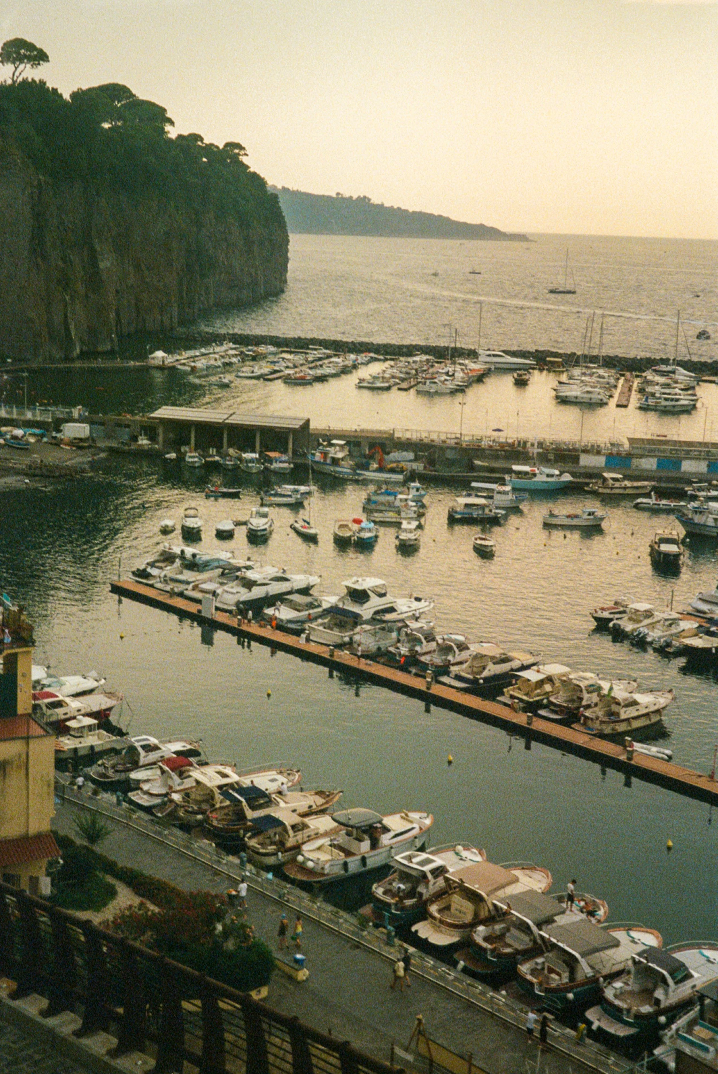 IMG_4903.jpg
