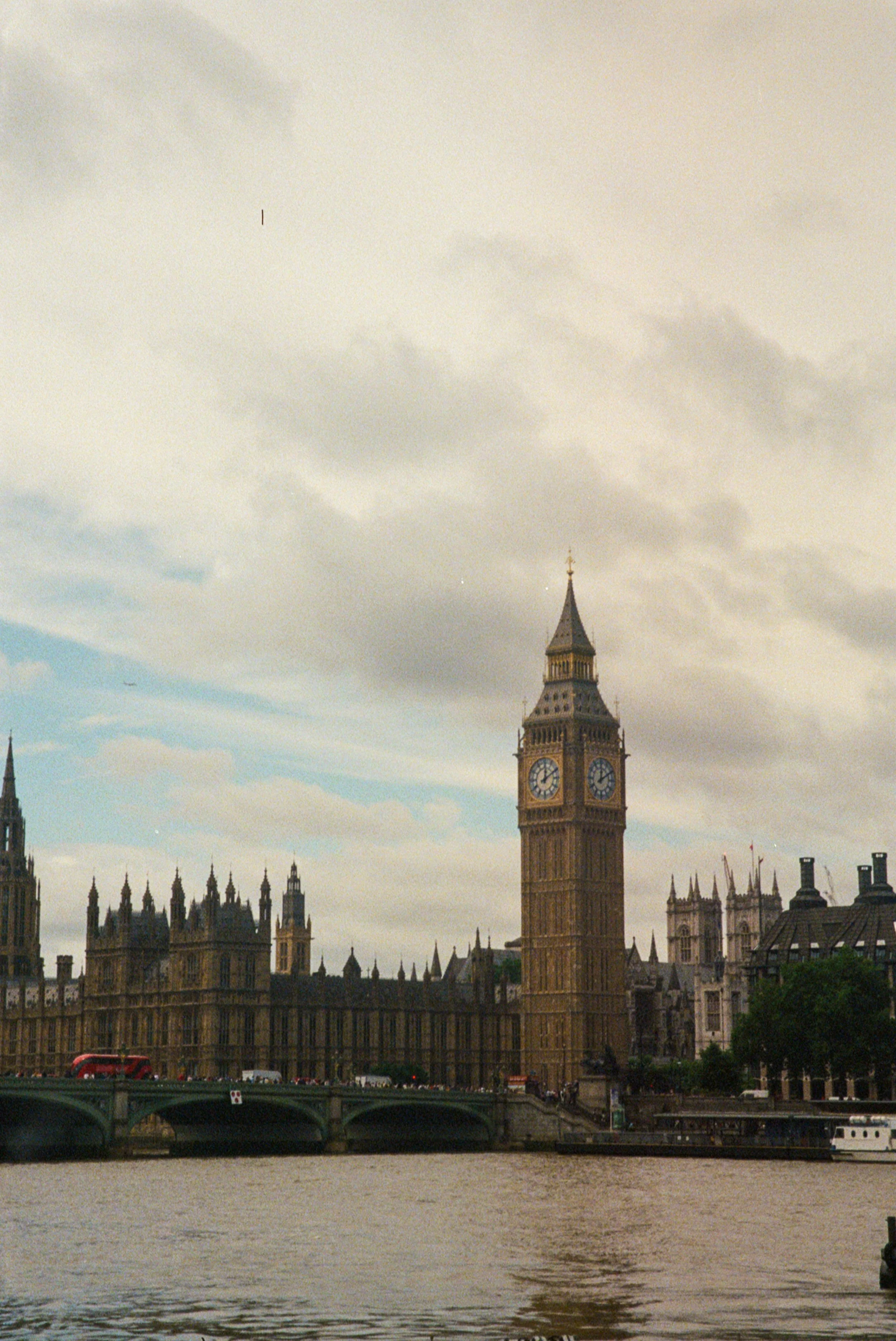 IMG_4875.jpg