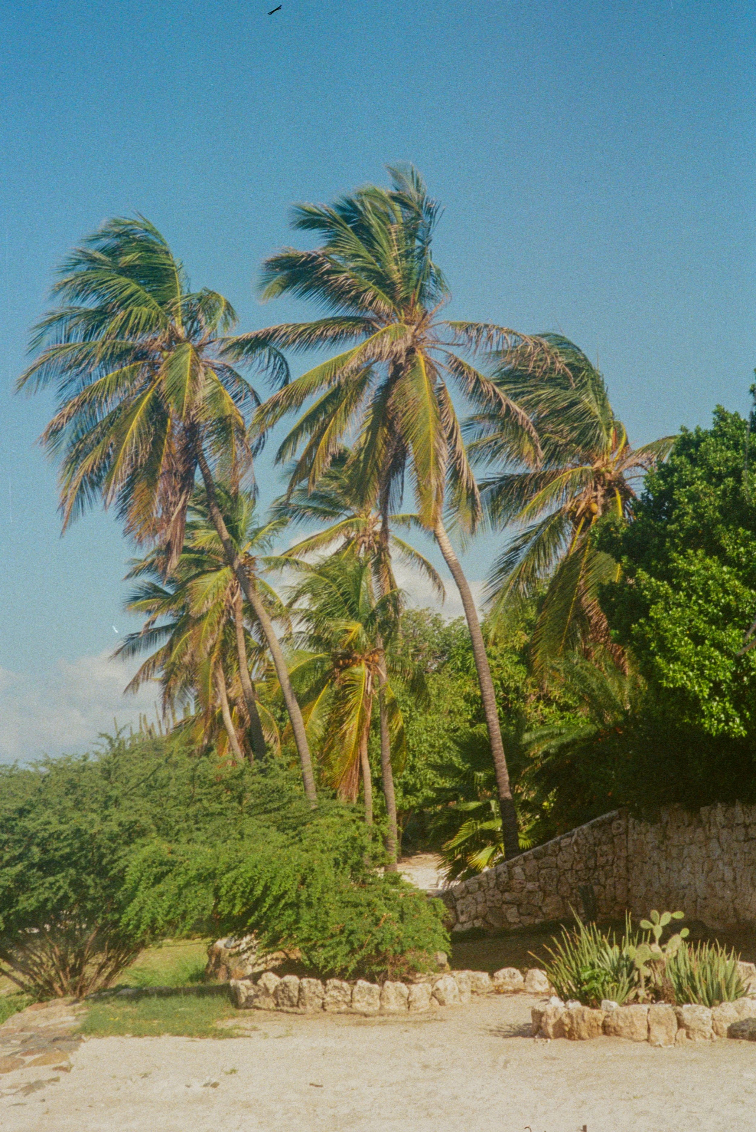 IMG_8077.jpeg