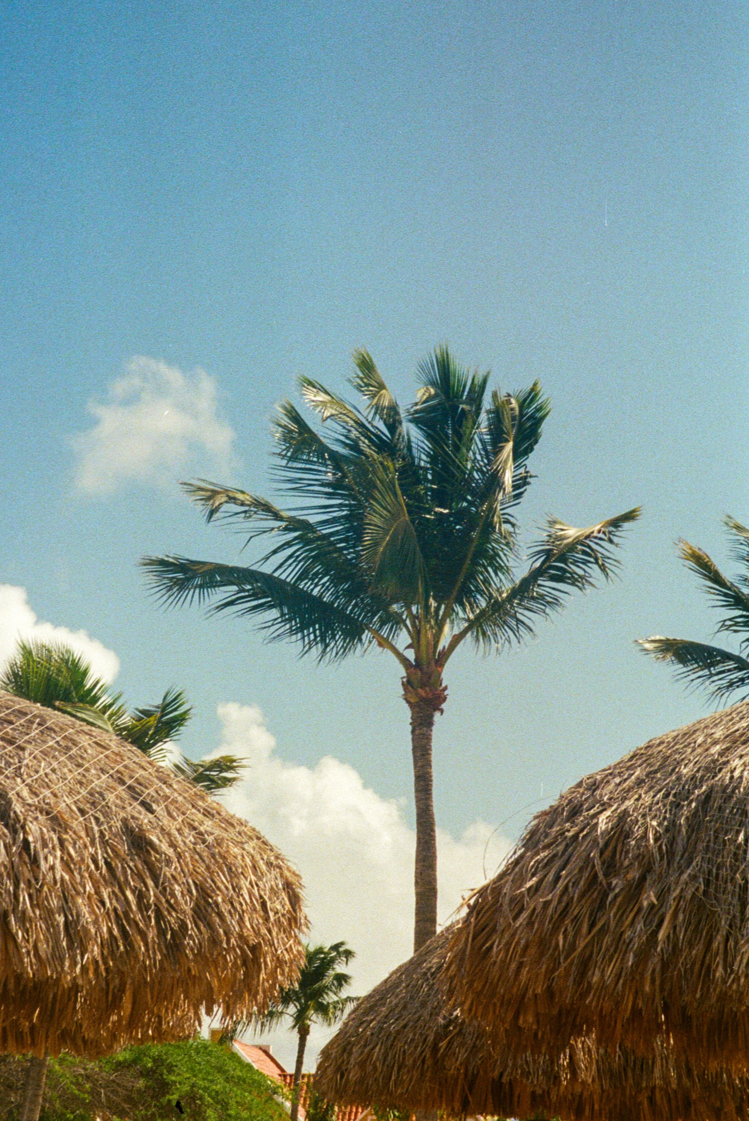 IMG_8073.JPG