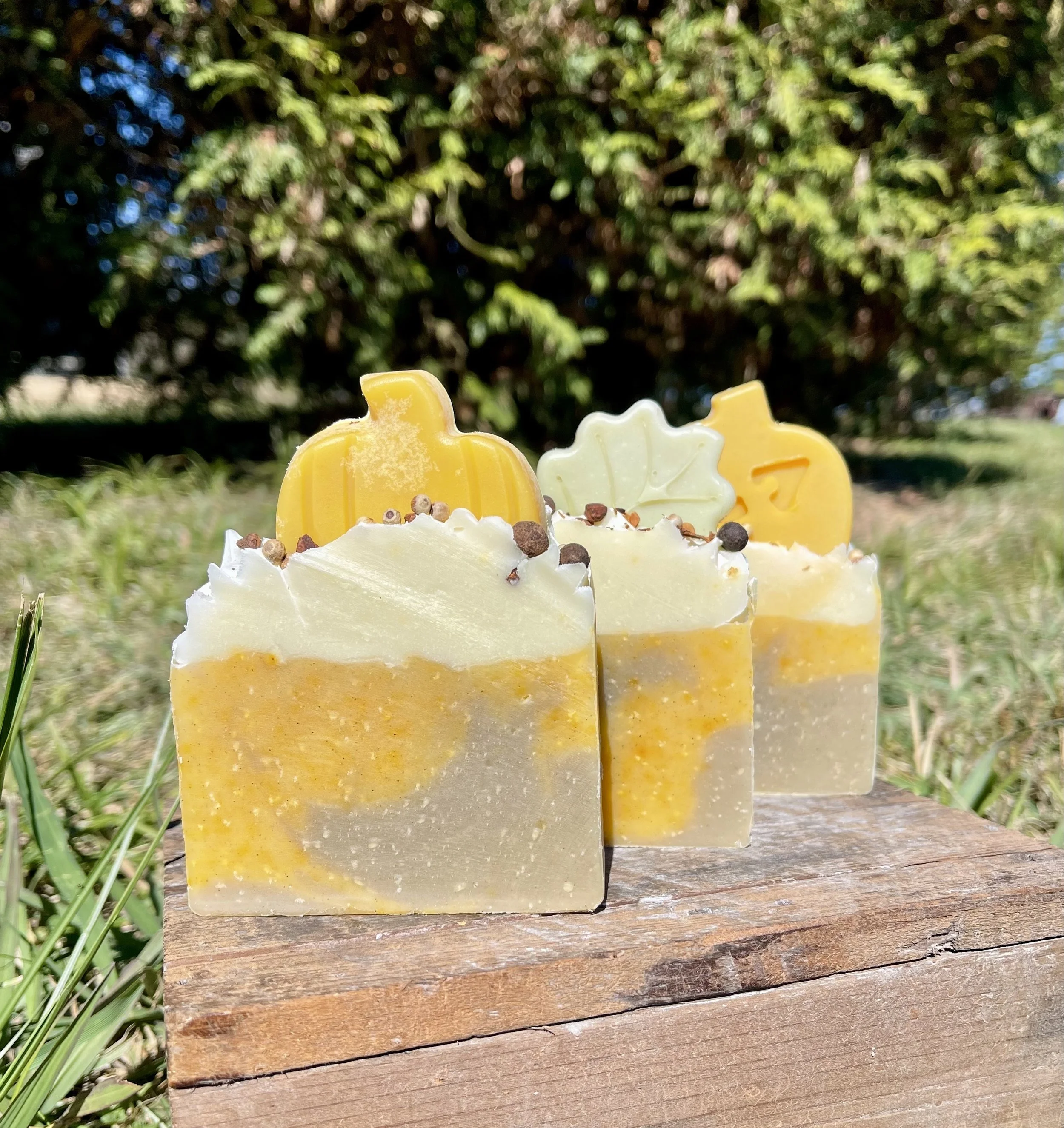 Gourd Soap