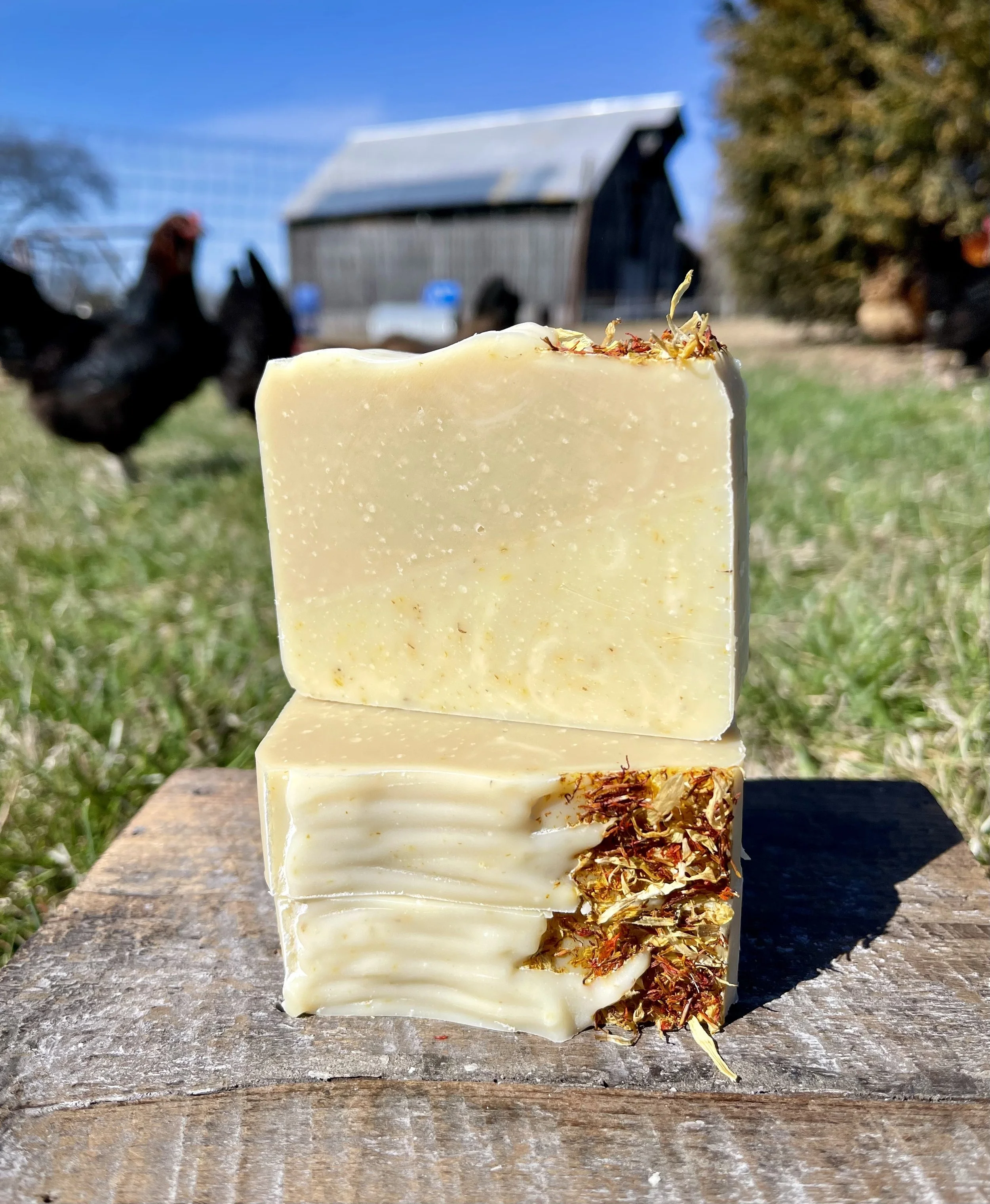 Calendula ( Tallow ) Soap