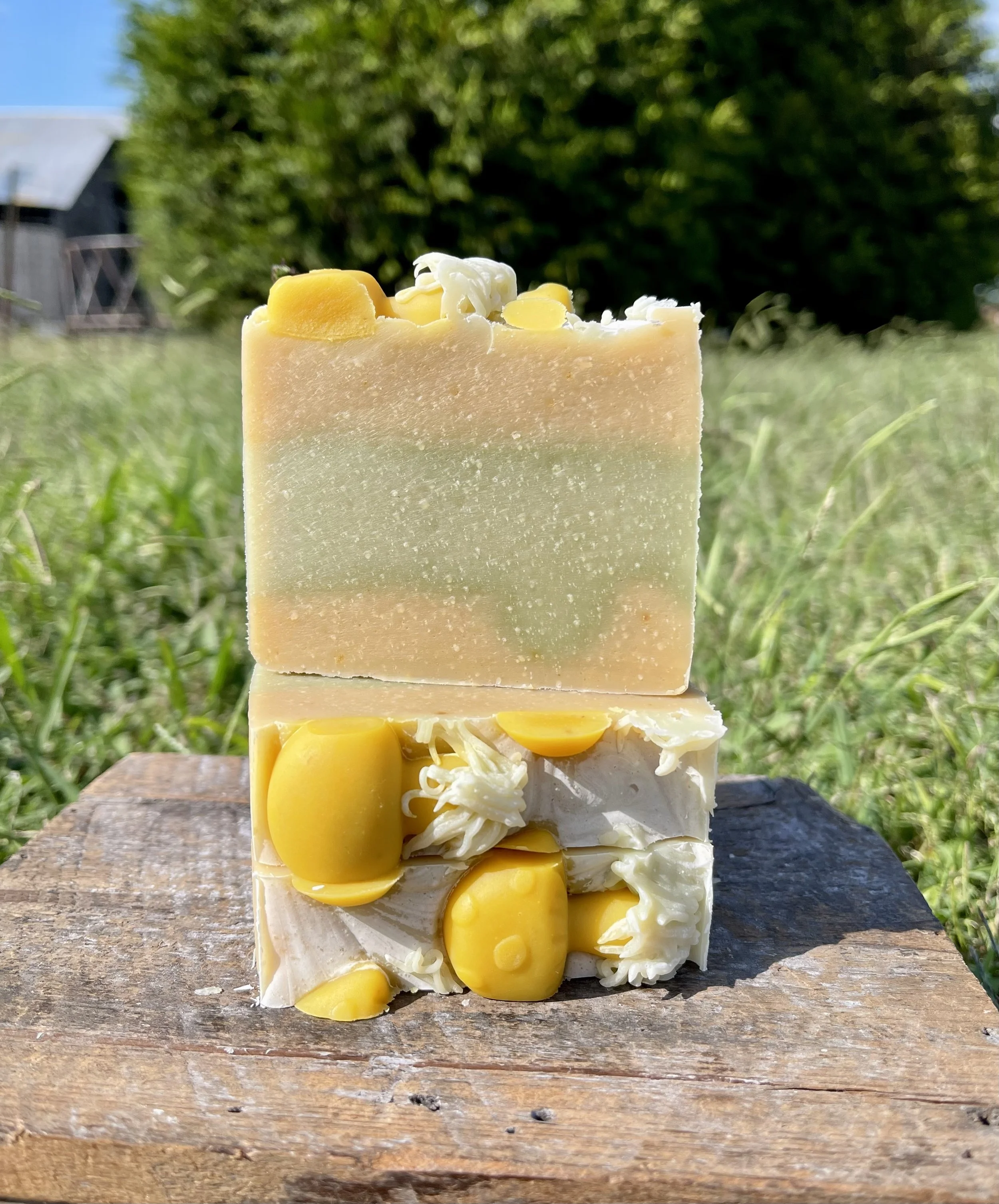 Forest Mint ( Tallow ) Soap