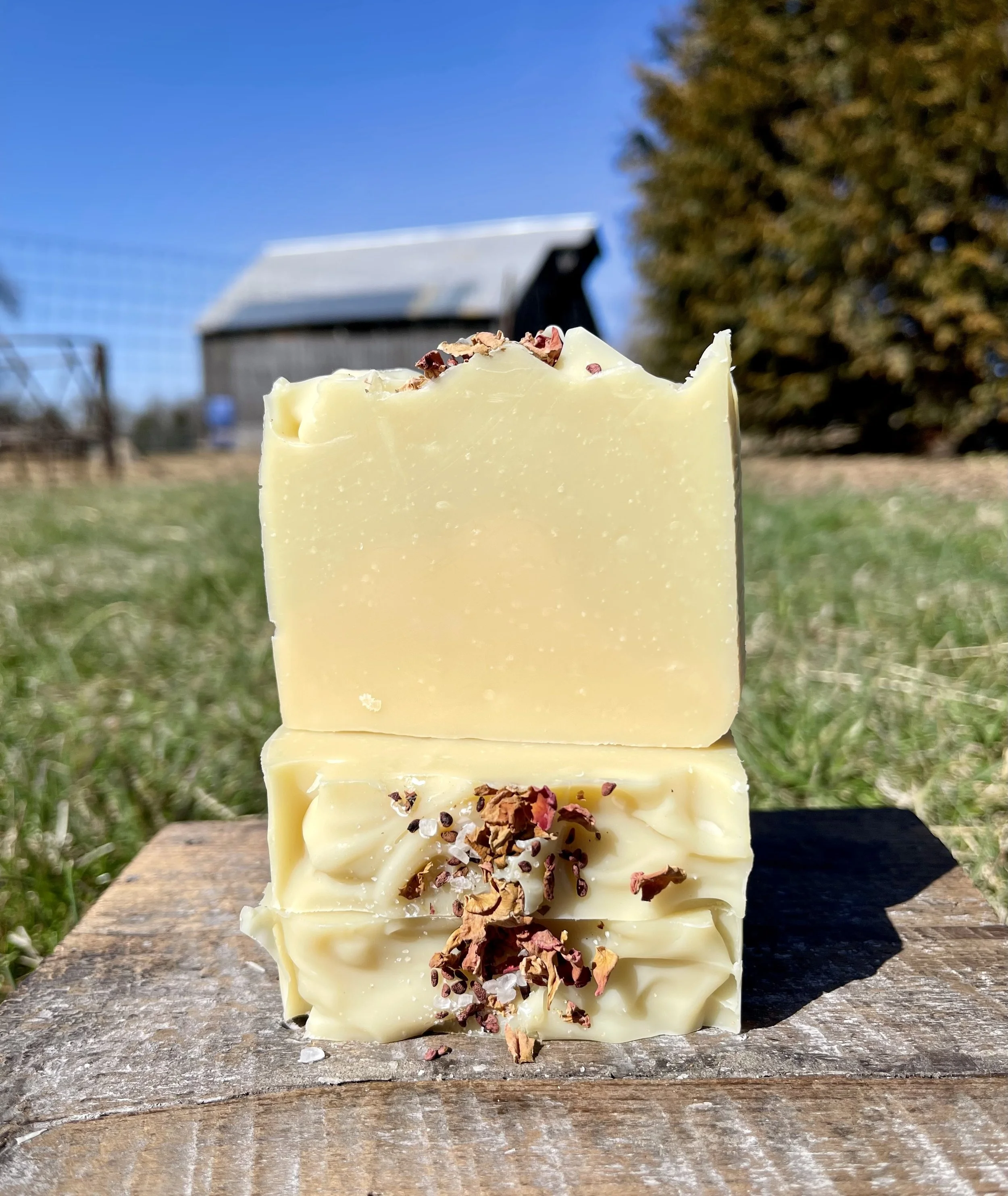 Grounded ( Tallow ) Soap