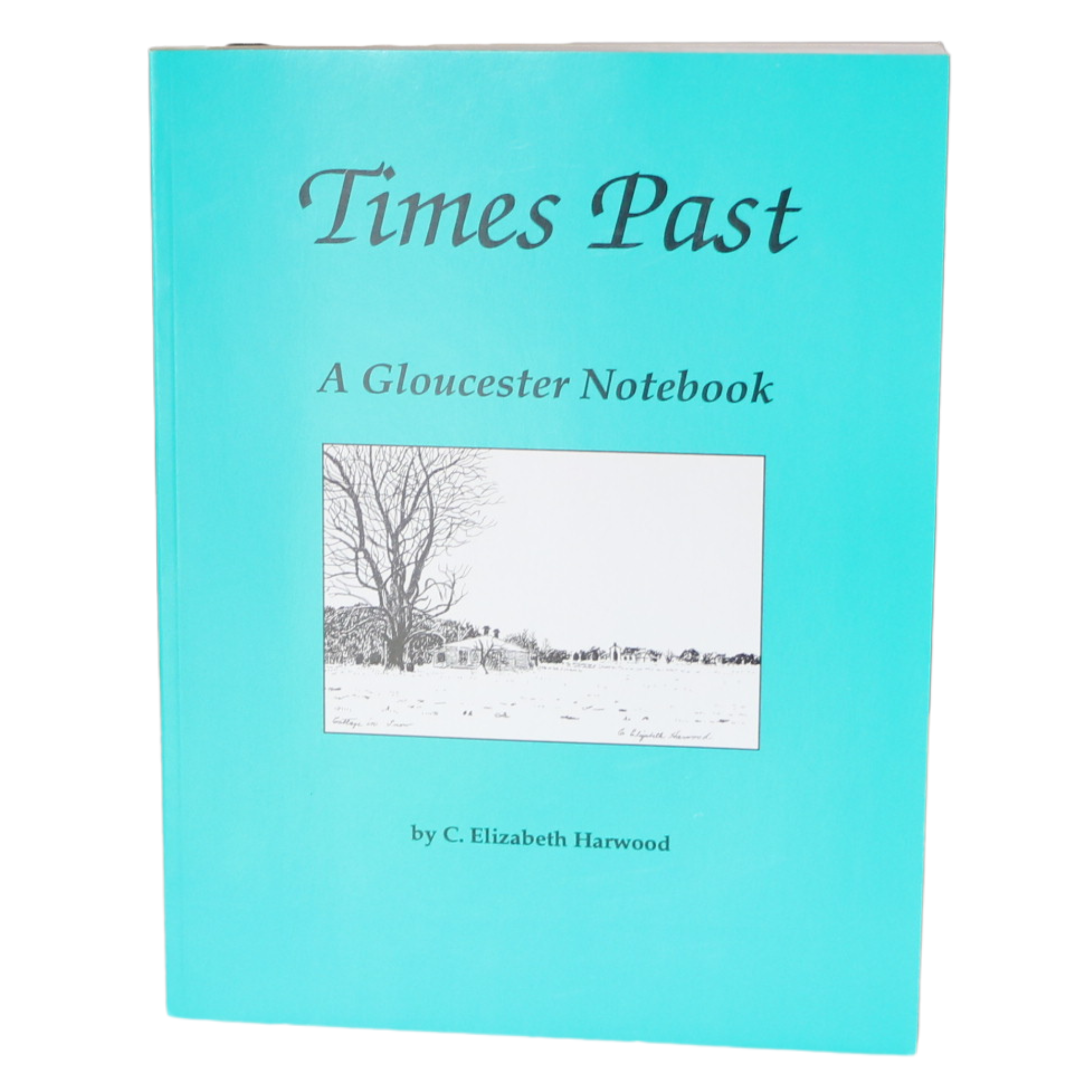 Times Past a Gloucester Notebook.png