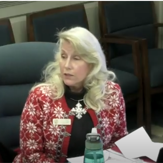 Snowflake Lynda Fairman Charges Illegal Removal as Chair