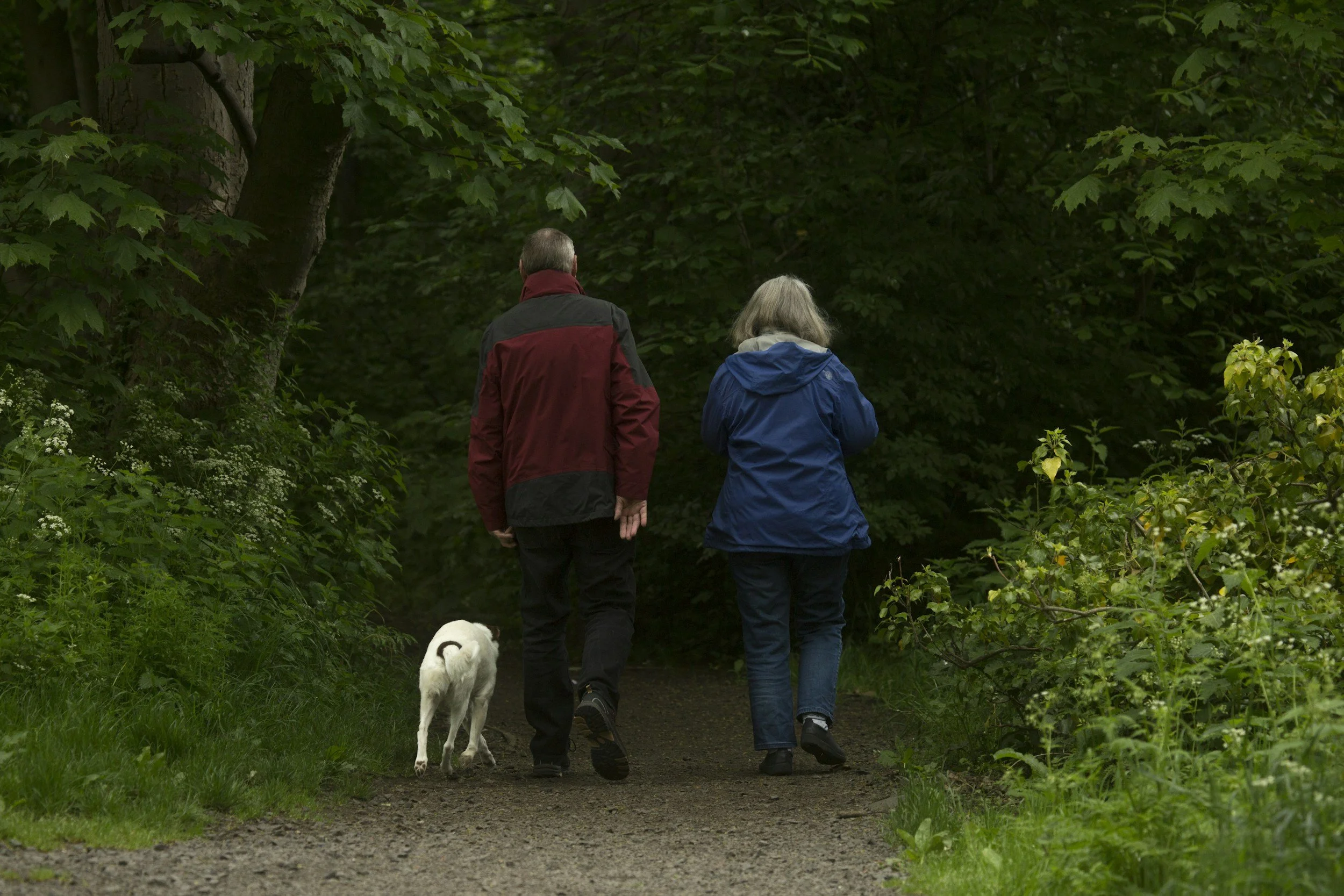 The Retirement Tax Window Most People Miss