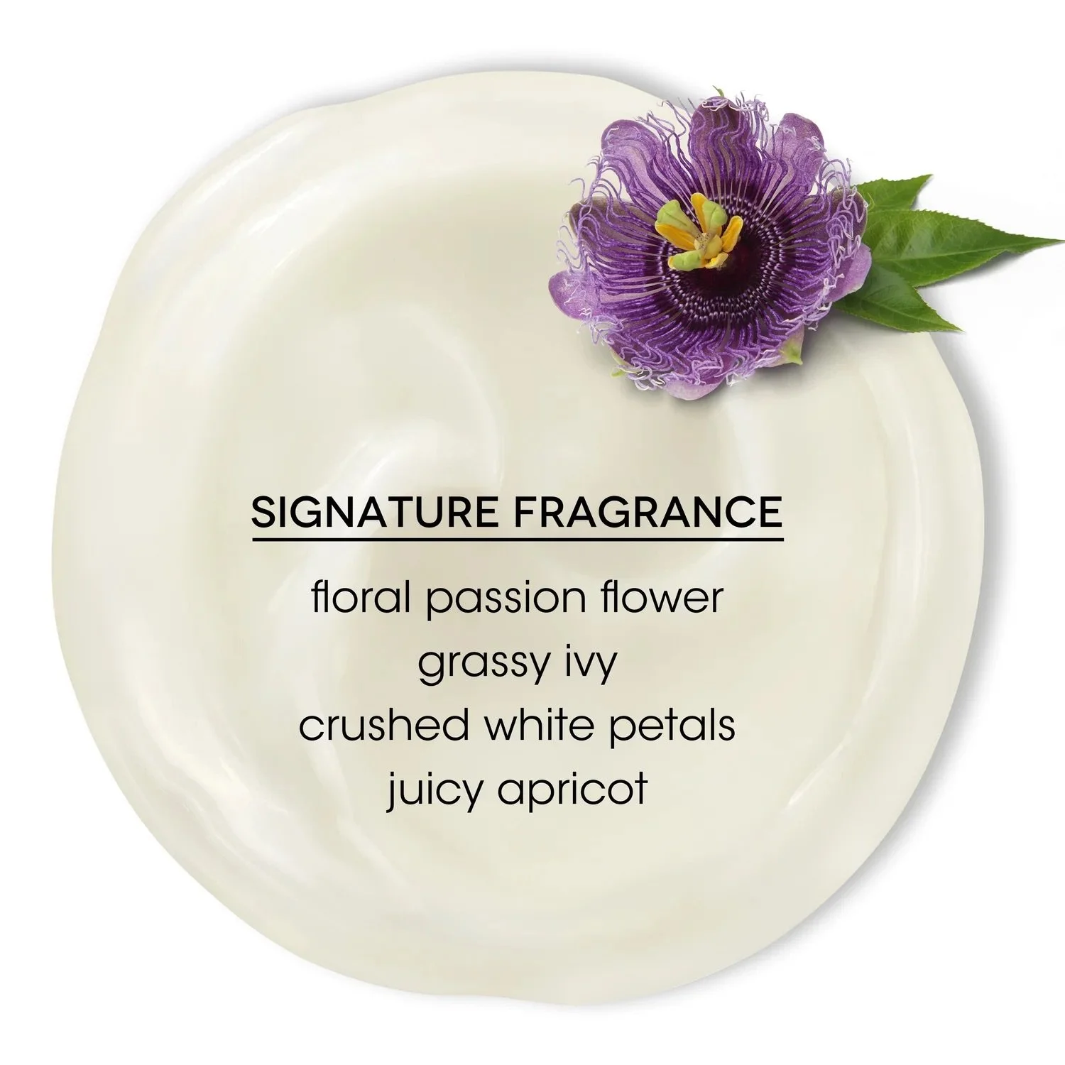Bain-de-Terre-Passion-Flower-Color-Preserving-Conditioner-Signature-Fragrance.jpeg