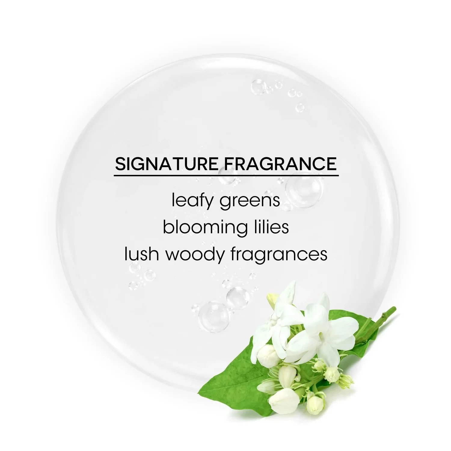 Bain-de-Terre-Recovery-Complex-Anti-Frizz-Silky-Shine-Serum-Signature-Fragrance.jpeg