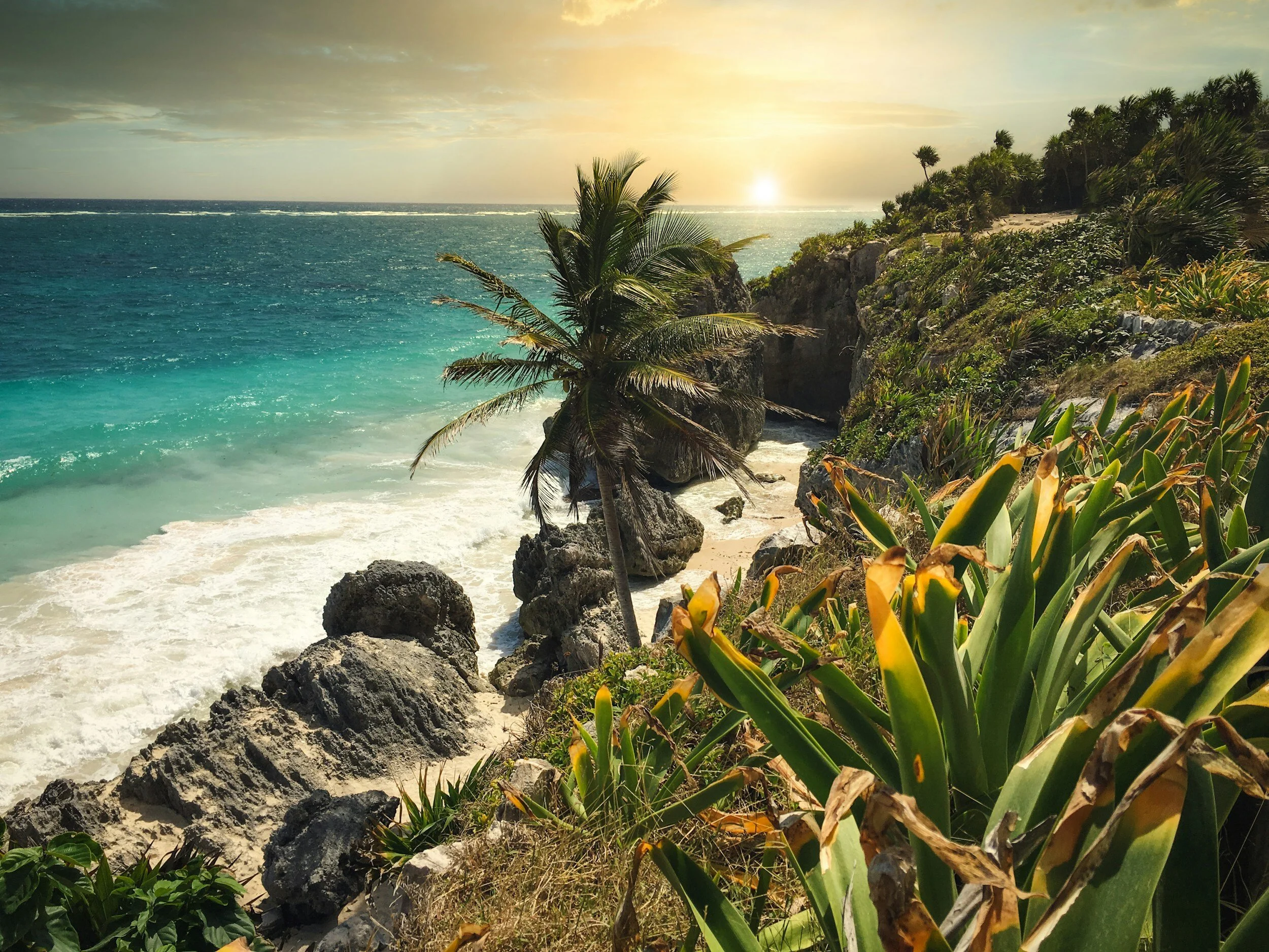 Destination: Riviera Maya