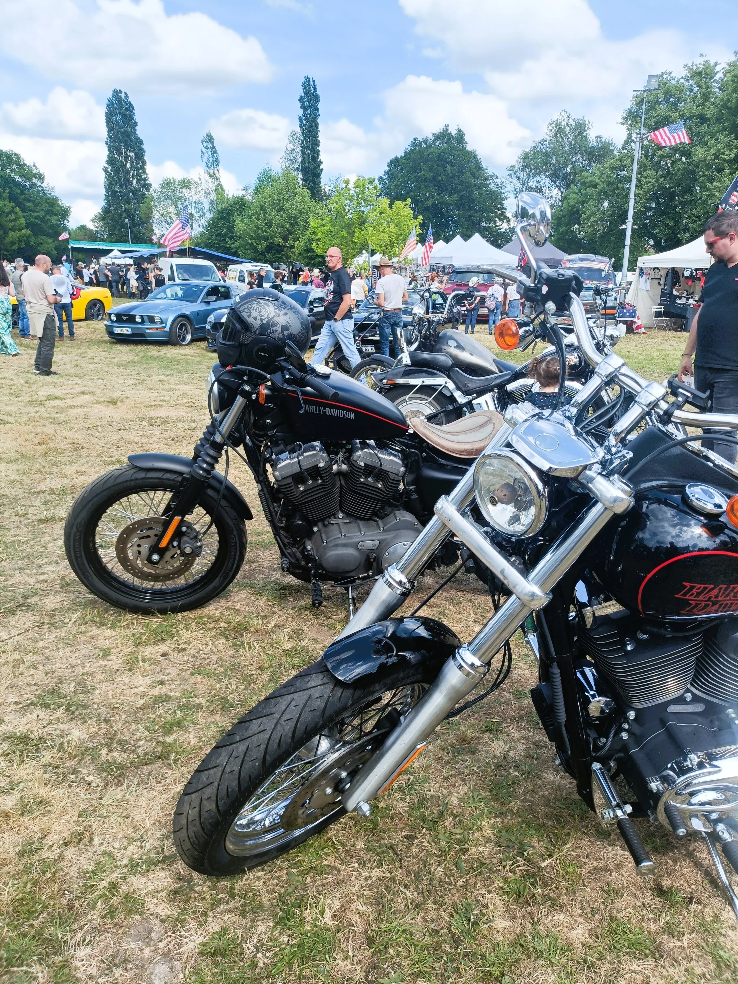 IMG20250510163505 1.jpg