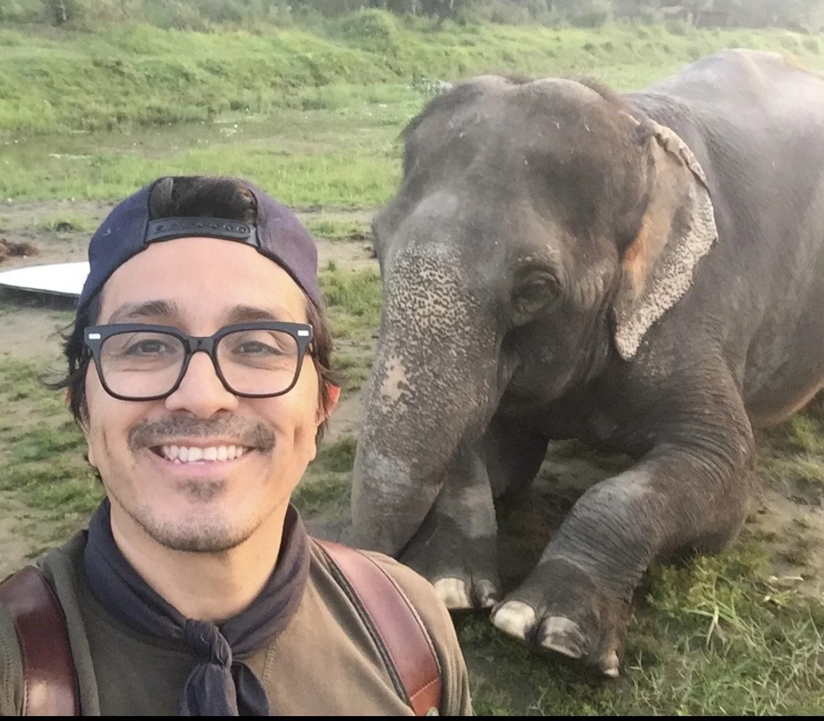 A man smiling at the camera taking a selfie with a resting elephant nearby in a grassy area.