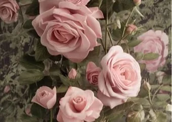 RosesinThe Gardens.jpeg