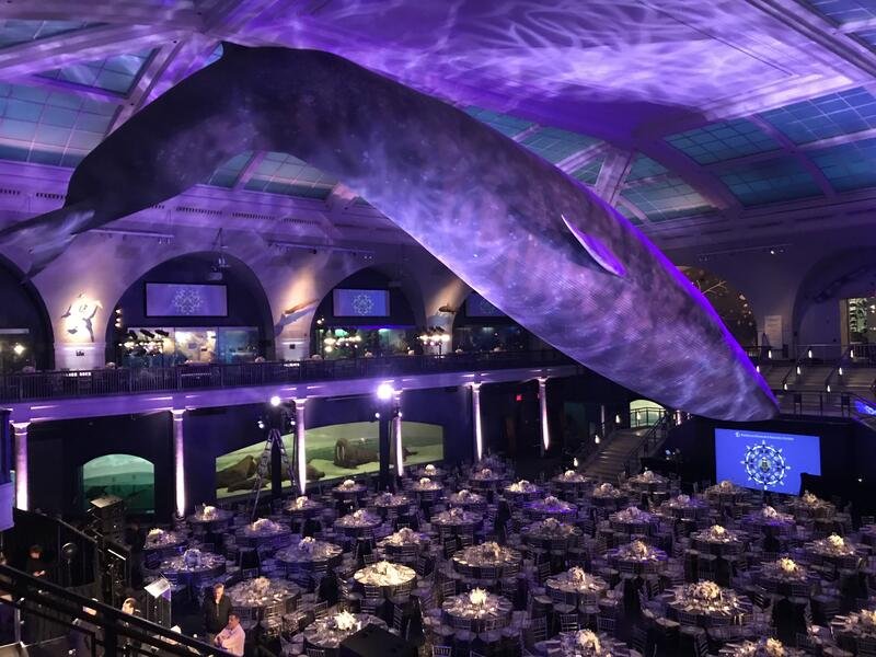 AMERICAN MUSEUM OF NATURAL HISTORY GALA