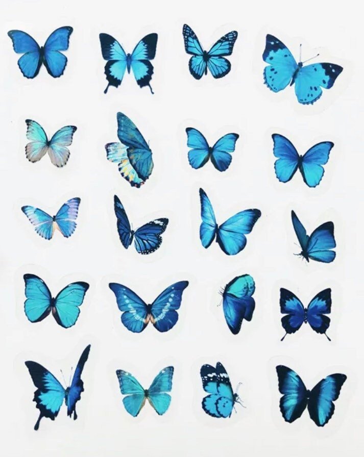 https://i.etsystatic.com/24781345/r/il/64b41b/3827207721/il_fullxfull.3827207721_qvpc.jpg
