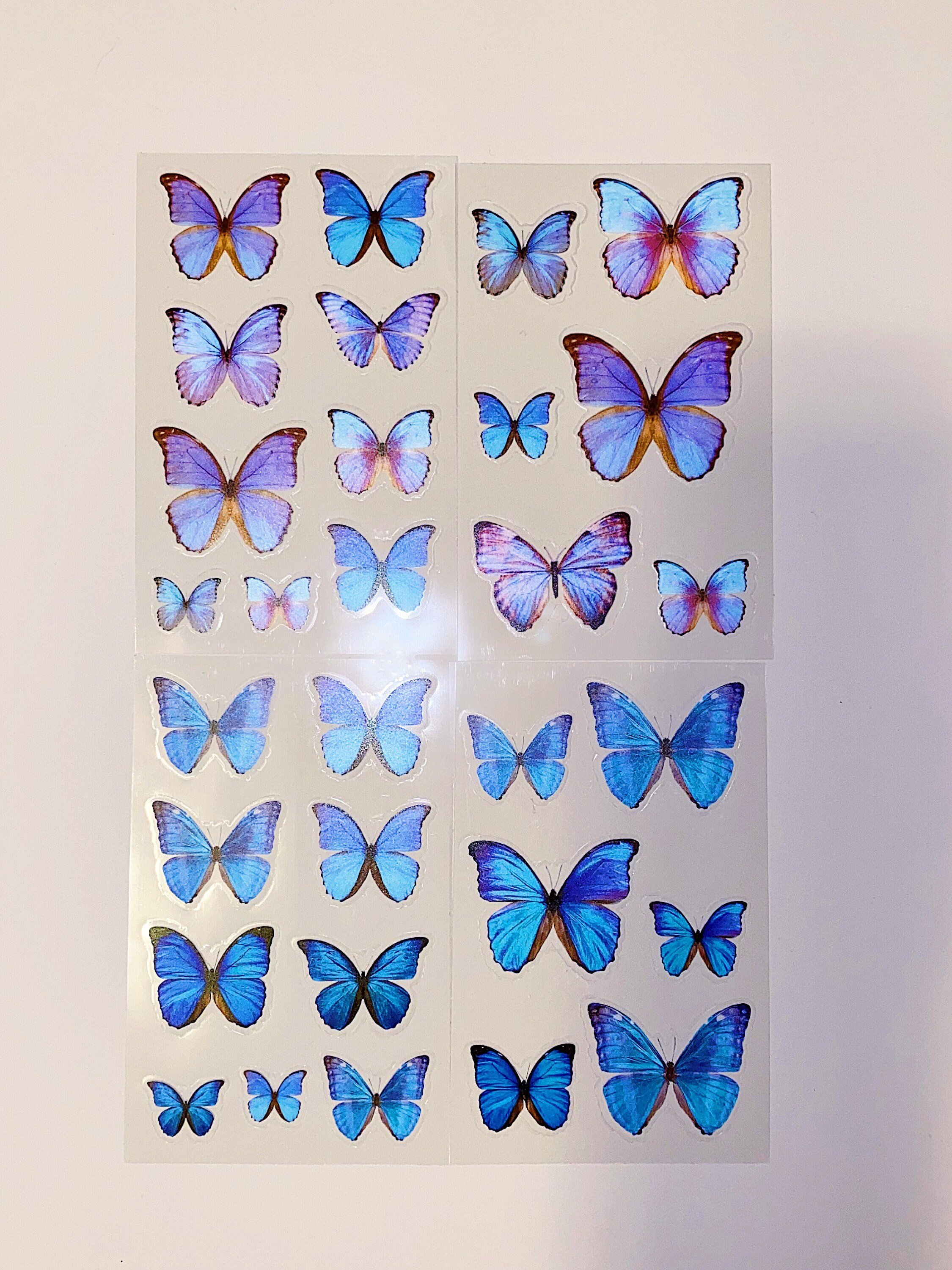 https://i.etsystatic.com/24781345/r/il/f4d36f/3300113016/il_fullxfull.3300113016_q0xo.jpg