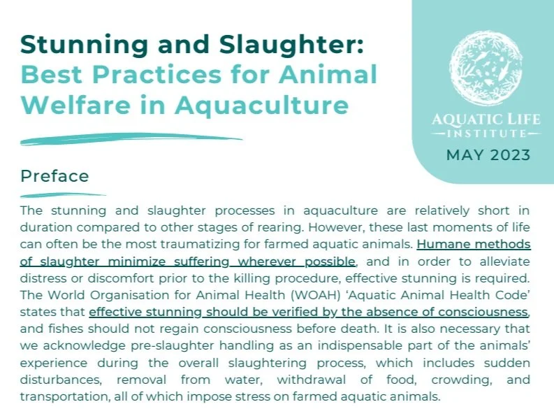 Stunning and Slaughter: Best Practices for Animal Welfare in Aquaculture
