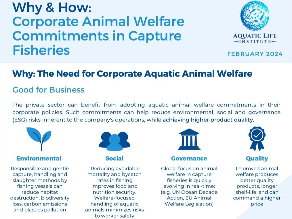 Corporate sector brief: Why &amp; How: Corporate Animal Welfare Commitments in Capture Fisheries