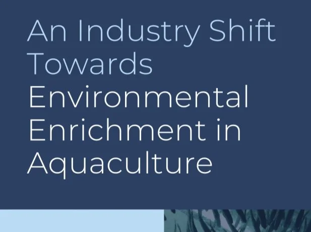 An Industry Shift Towards Environmental Enrichment in Aquaculture