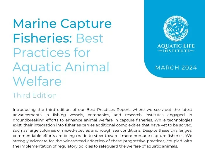 Marine Capture Fisheries: Best Practices ﻿for Aquatic Animal Welfare (3rd Edition)