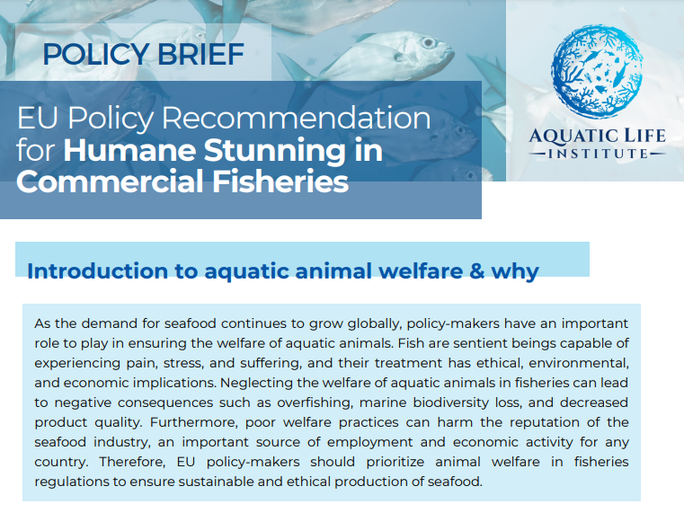 EU Policy Recomm﻿endation for Humane Stunning in Commercial Fisheries
